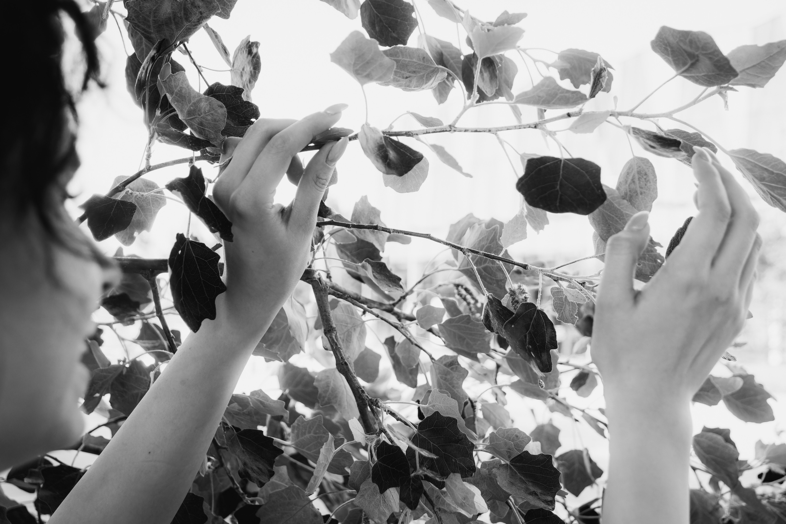 Alone girl (Stasja). Nebula 25 — Fotod teie hingele