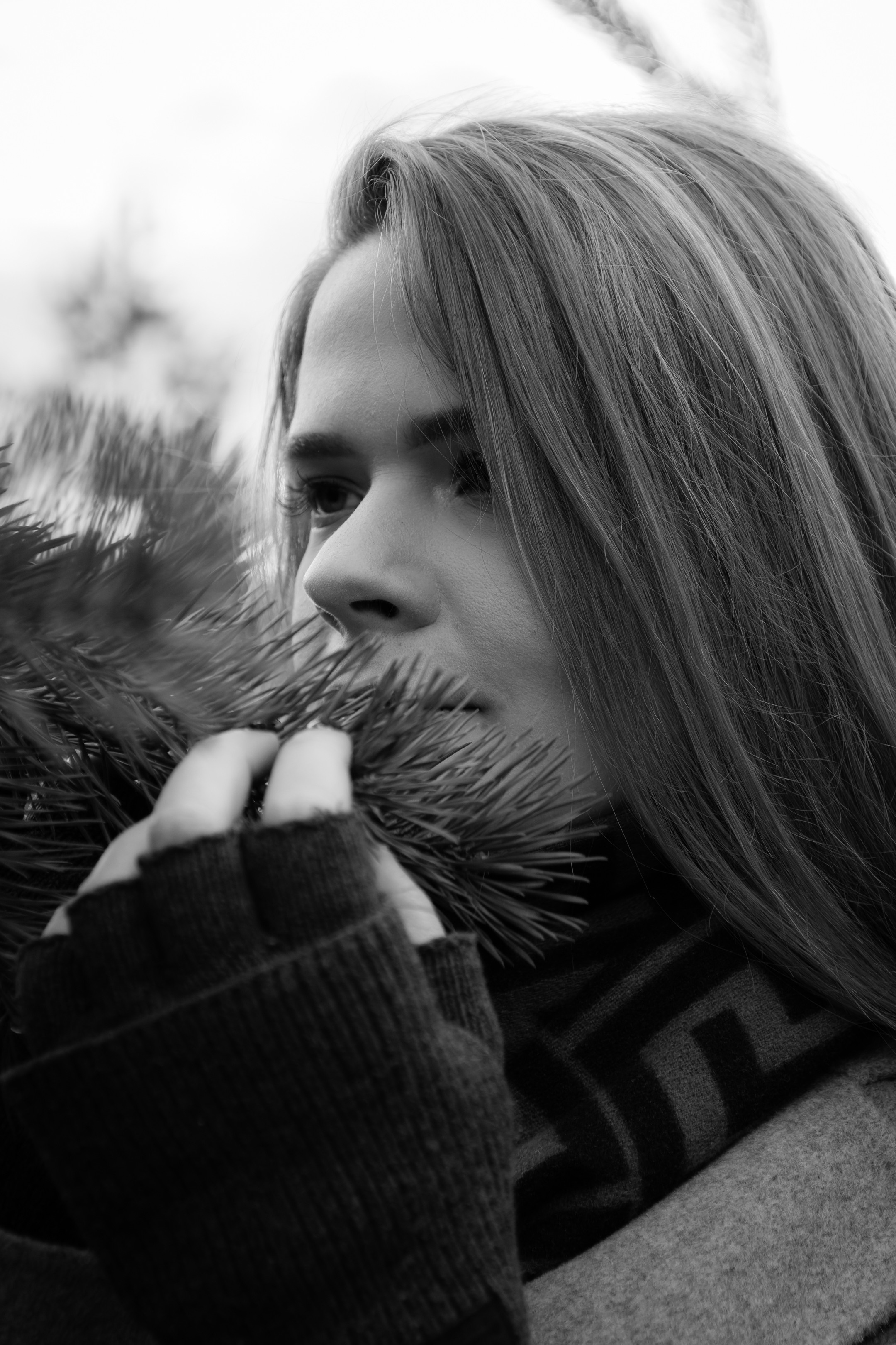 Kaunis hing (Sofija). Nebula 25 — Fotod teie hingele