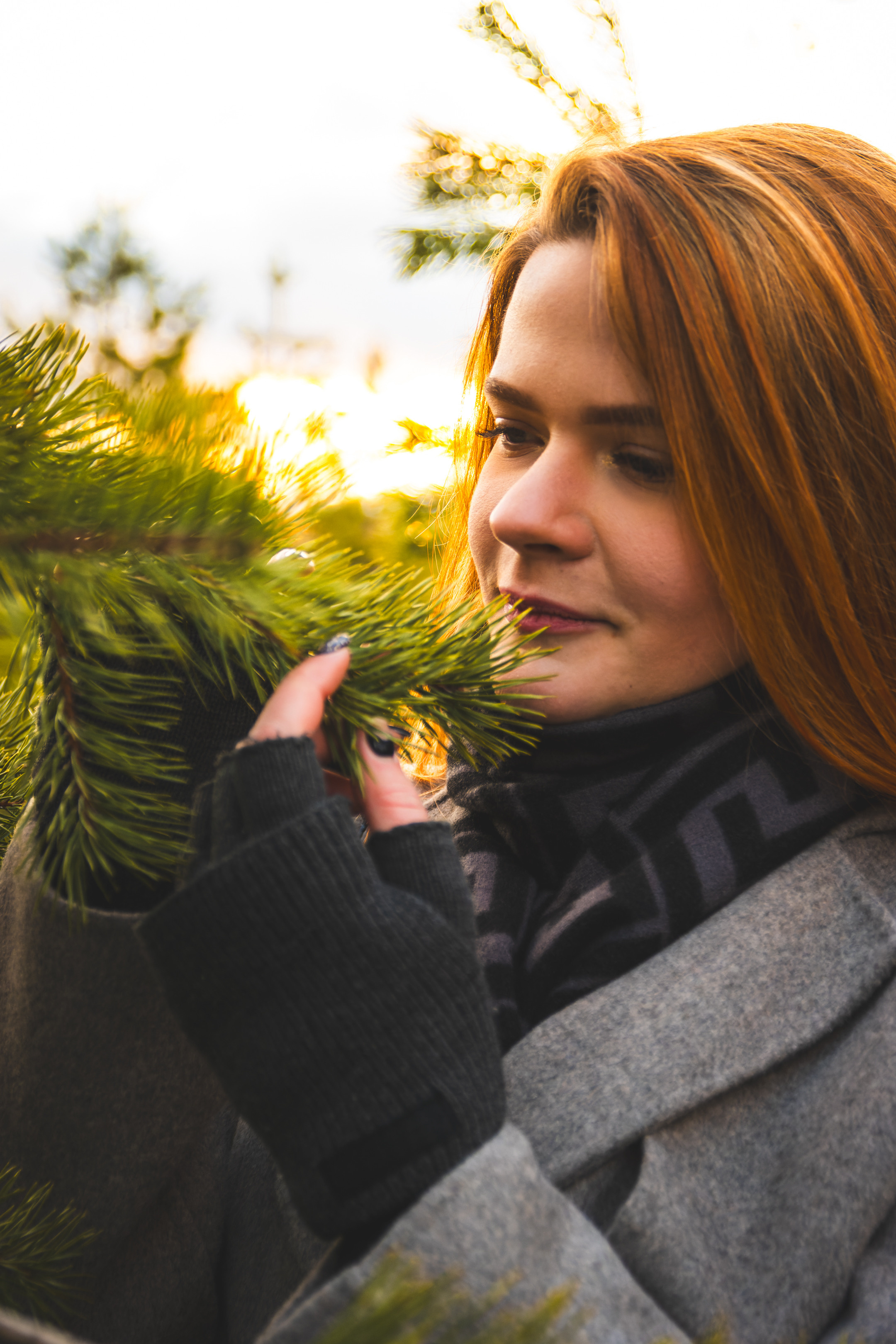 Kaunis hing (Sofija). Nebula 25 — Fotod teie hingele