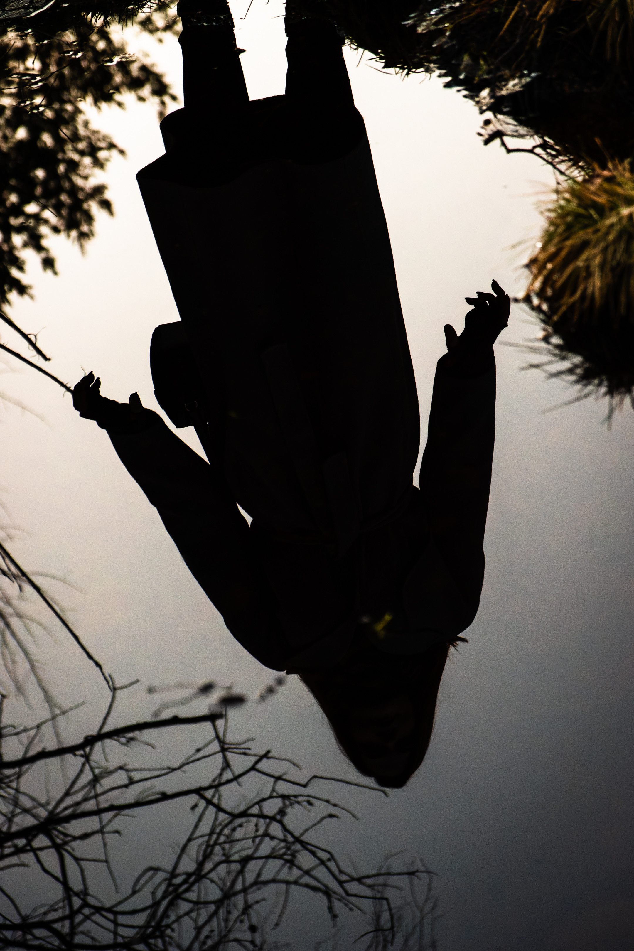 Kaunis hing (Sofija). Nebula 25 — Fotod teie hingele