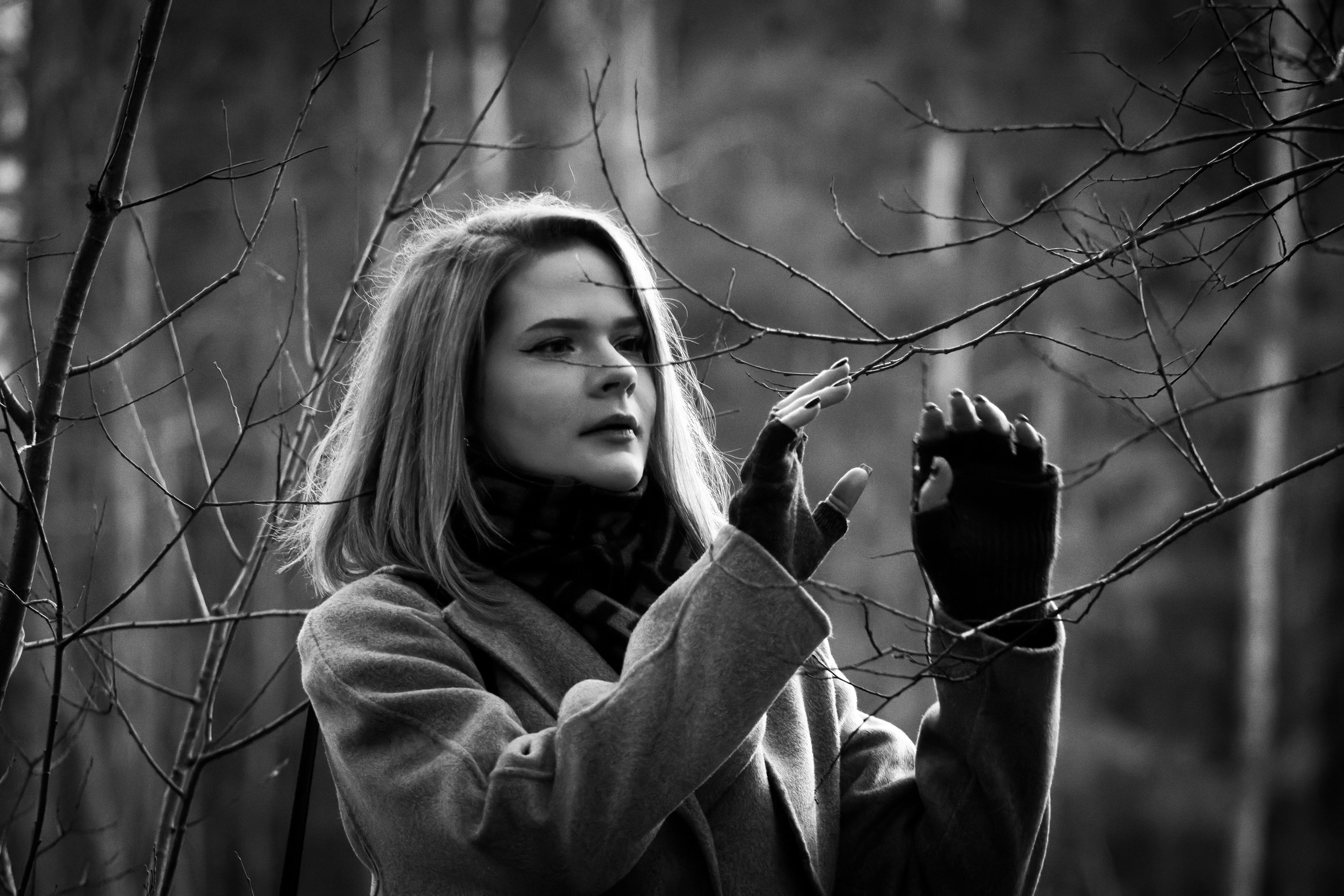 Kaunis hing (Sofija). Nebula 25 — Fotod teie hingele