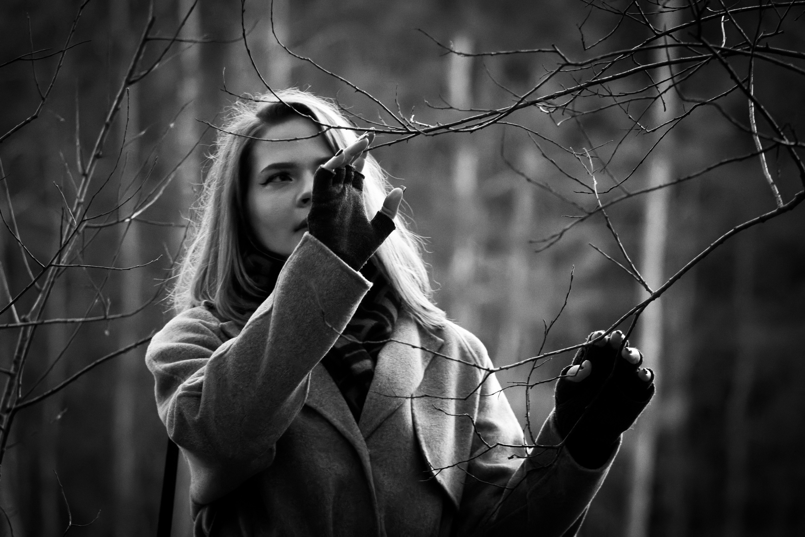 Kaunis hing (Sofija). Nebula 25 — Fotod teie hingele