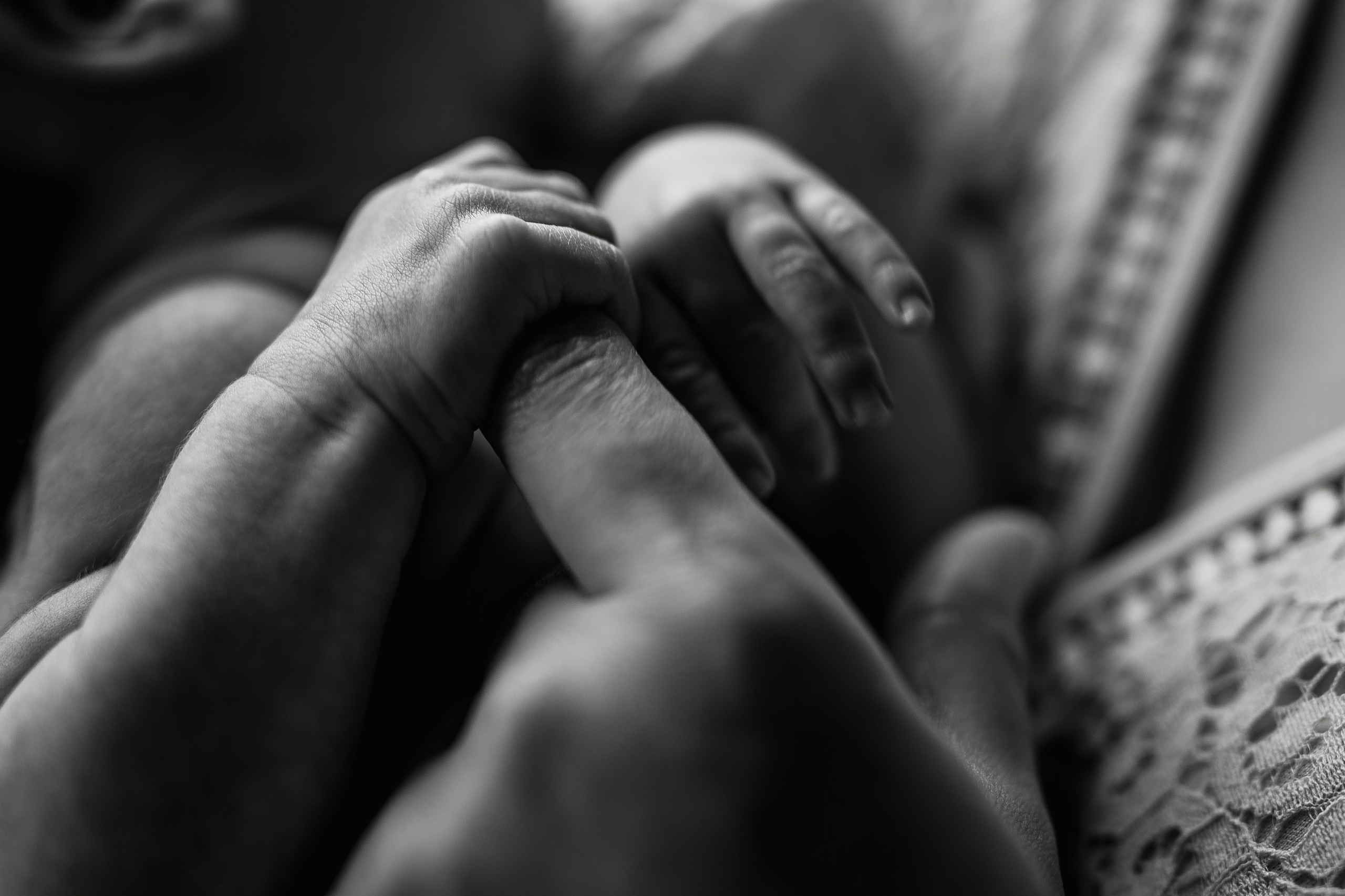 Sara, Henry, Landon, Oliver, Mila, Isla. Wedding and family photographer and videographer PA, NJ, NY, DE, MD