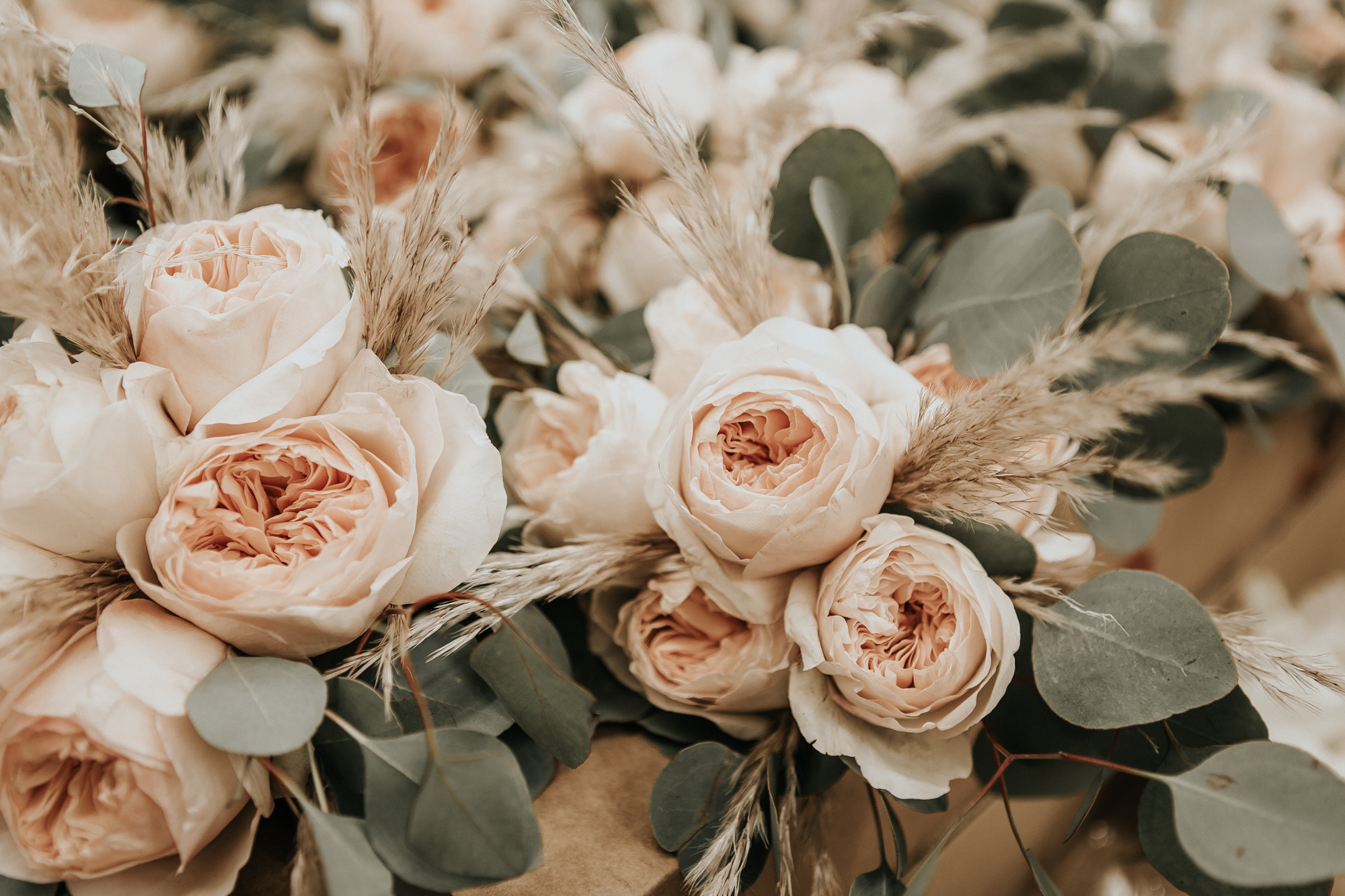 Wedding on the ranch. My name is Kate and I am family and wedding photographer