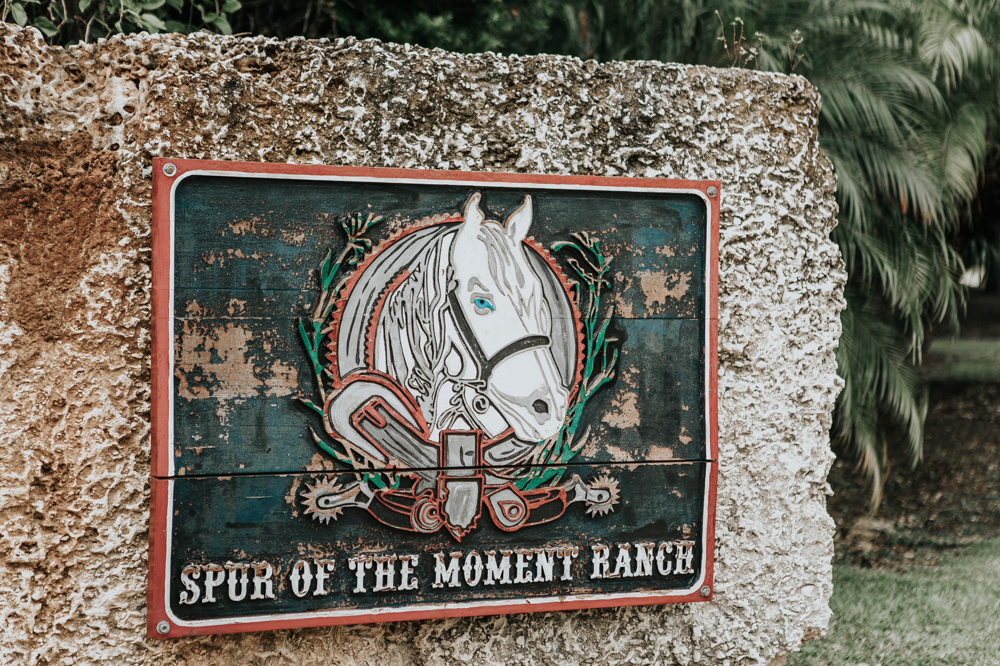 A beautiful wedding on the ranch