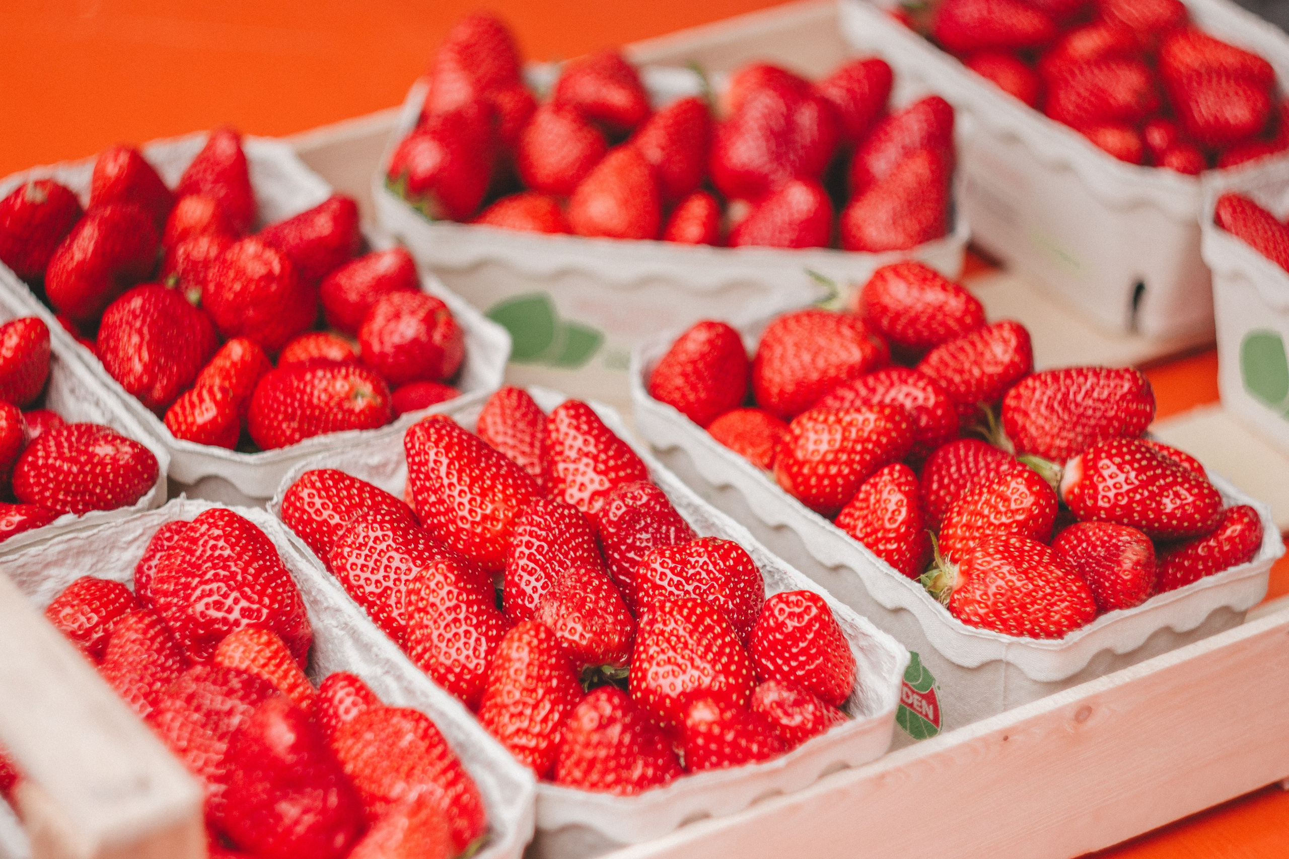 Oberkircher Erdbeerfest. Maria Chistyakovа — Fotografin in Karlsruhe, Baden-Baden und Umgebung