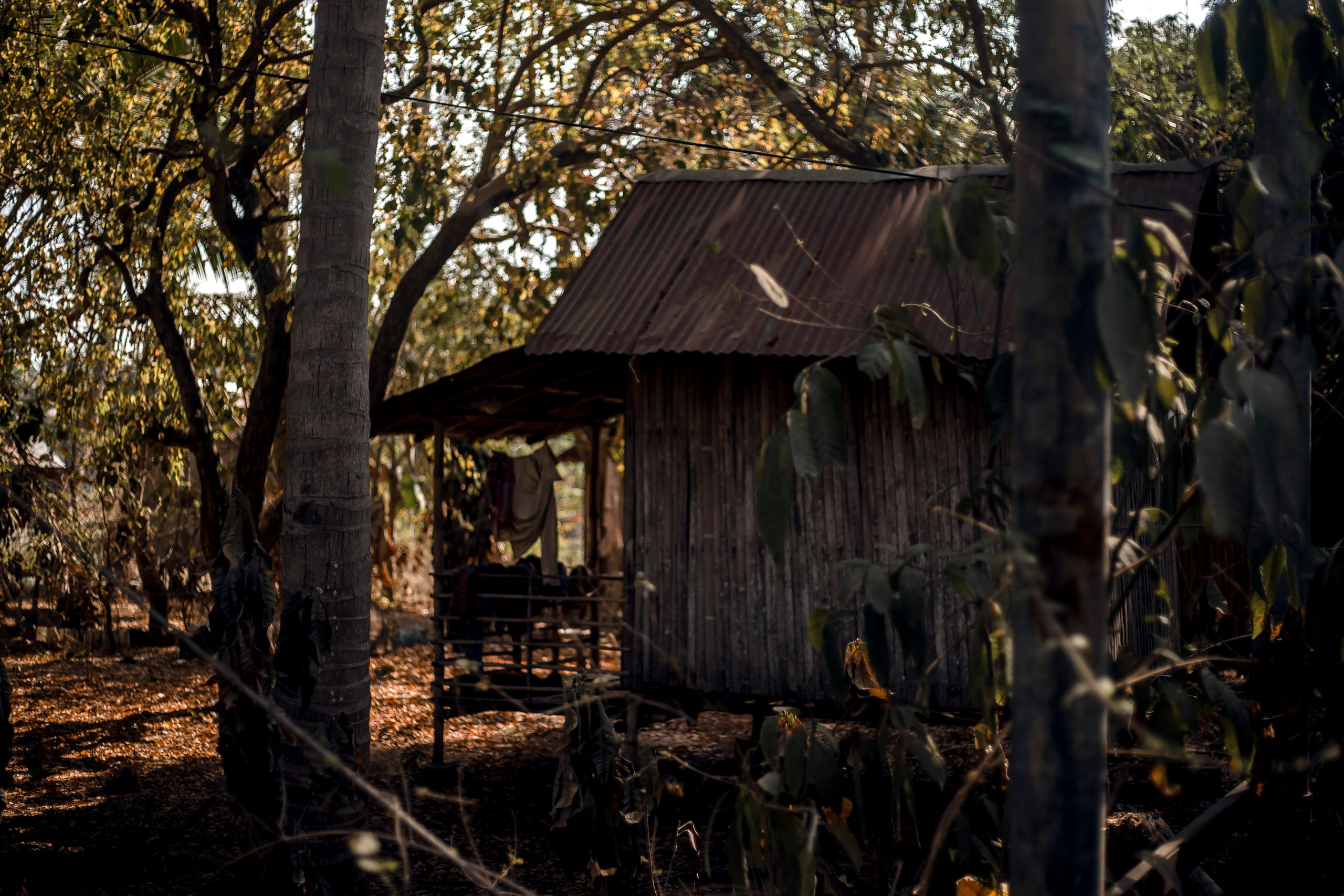Andaman Islands, Part2. Art Photographer
