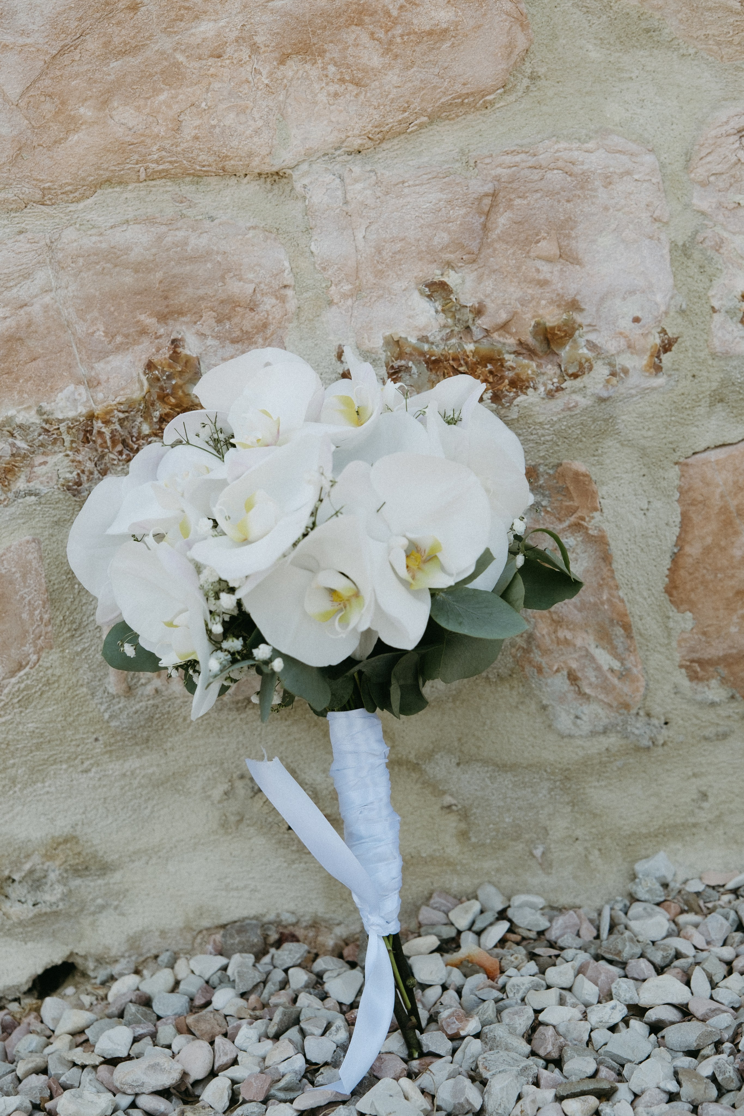 Sofia&Falk. Весільний фотограф Вікторія Саврук