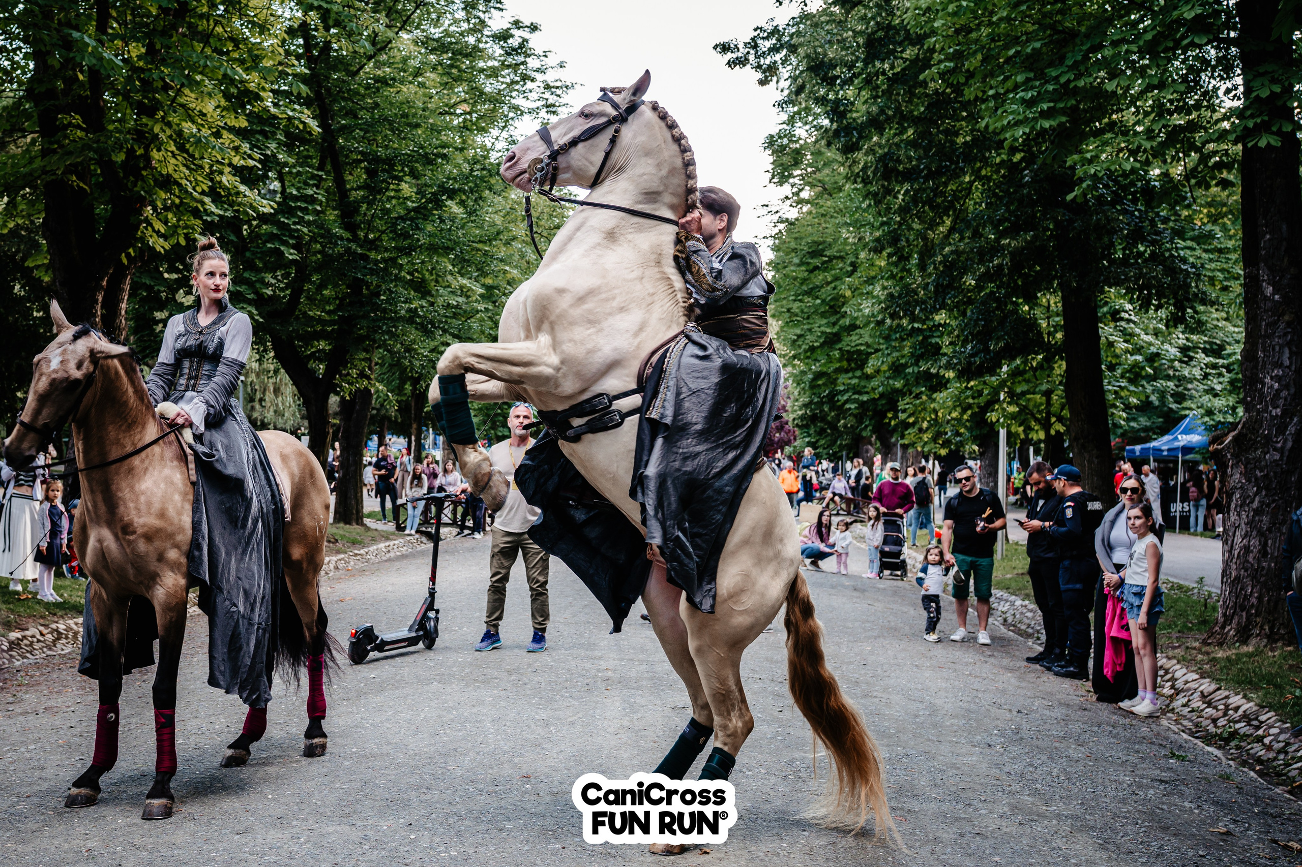 Sedinte foto. Timeless Bucovina