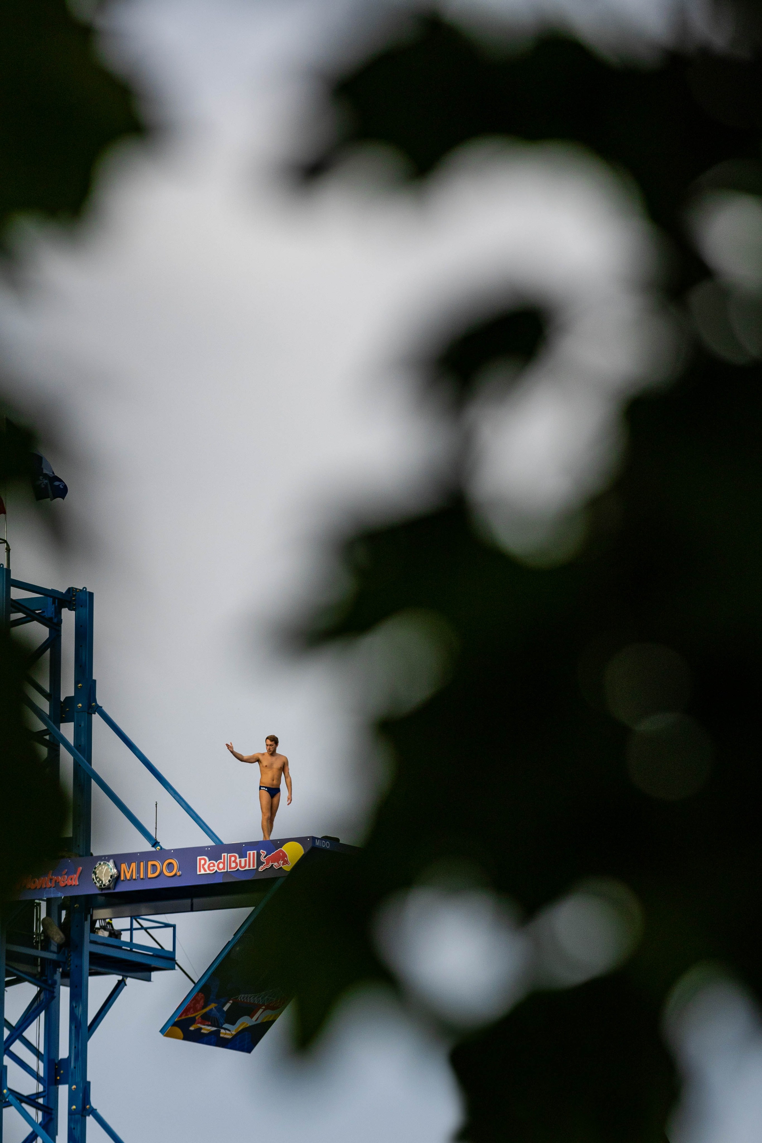 REDBULL DIVE MONTREAL