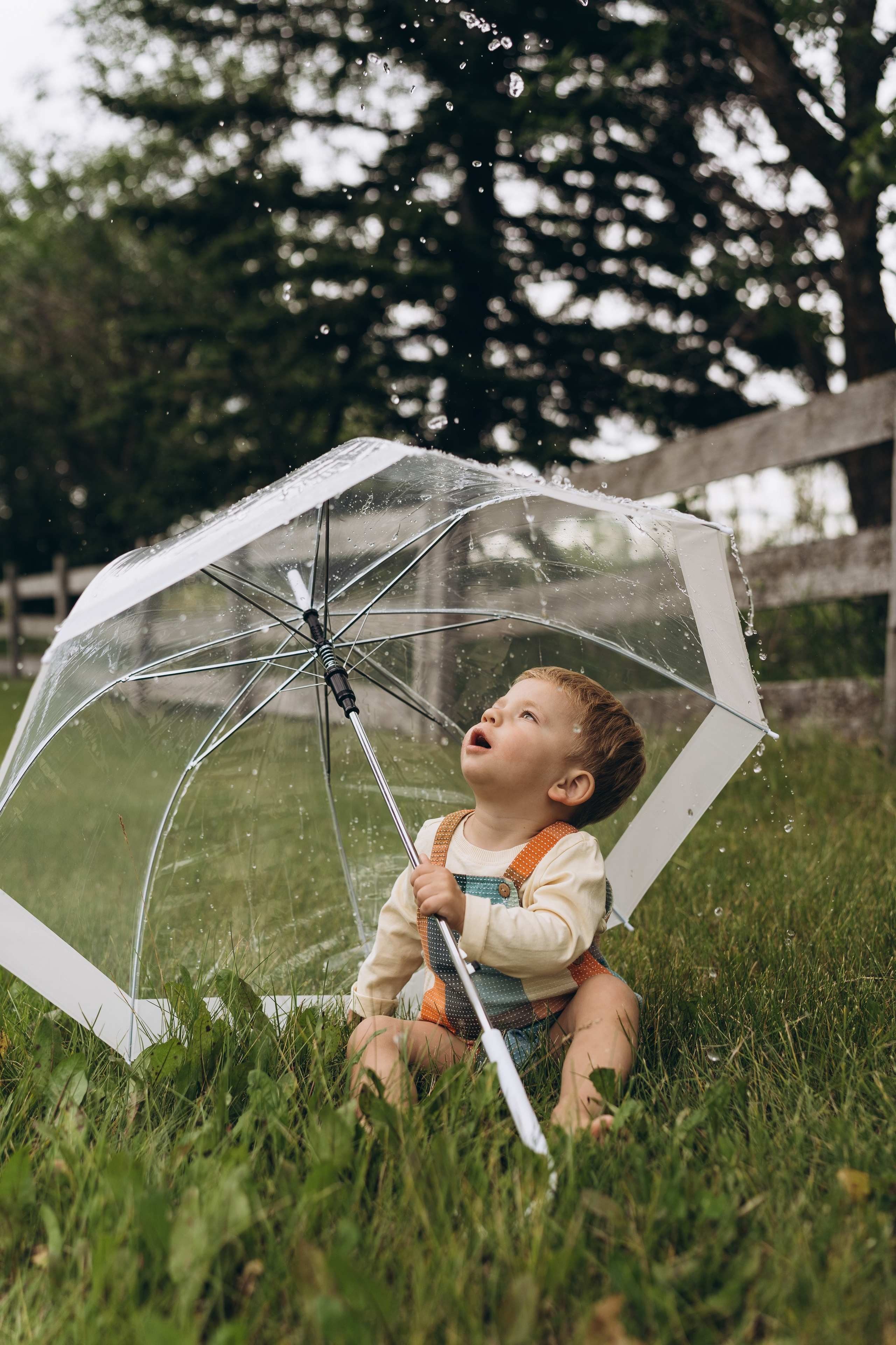 Lev. Calgary Wedding & Lifestyle Photographer — Yevhen Polishchuk