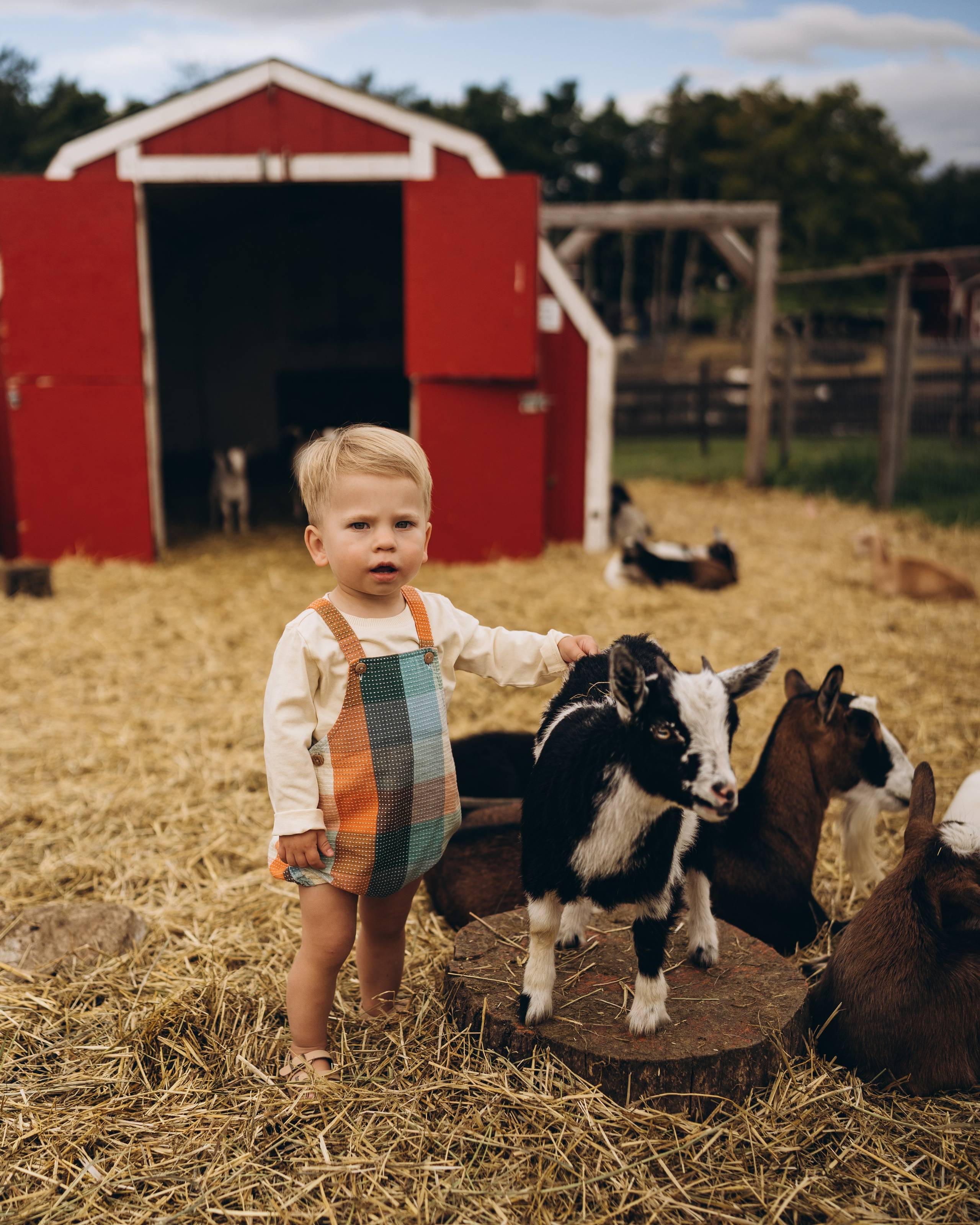 Lev. Calgary Wedding & Lifestyle Photographer — Yevhen Polishchuk