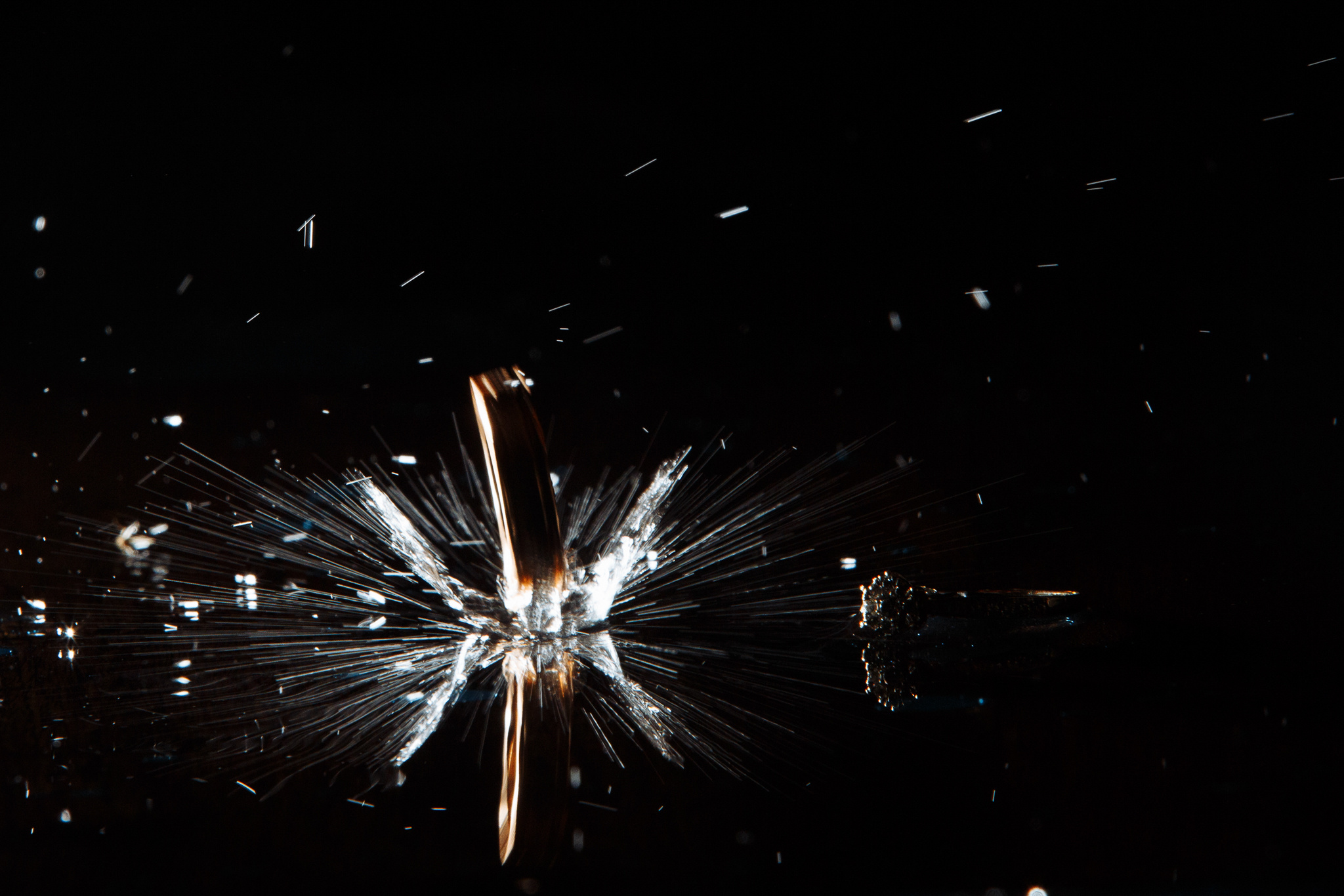 -Inele — Rings-. Fotograf de nuntă și de familie — Dinu Bargan