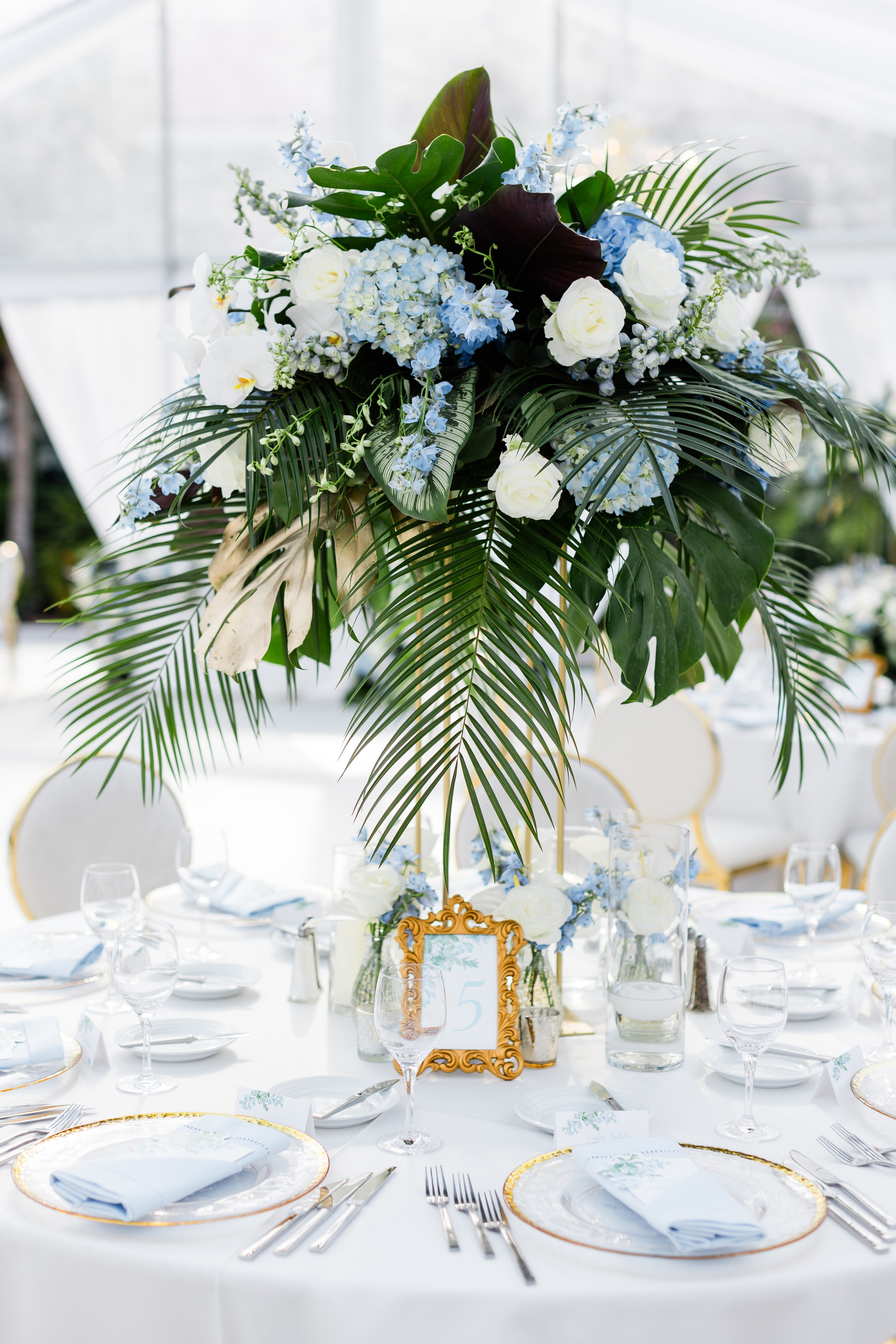 Diana and Filippe Bahamas Wedding. Family and Event photographer in Homestead and Miami areas of Florida