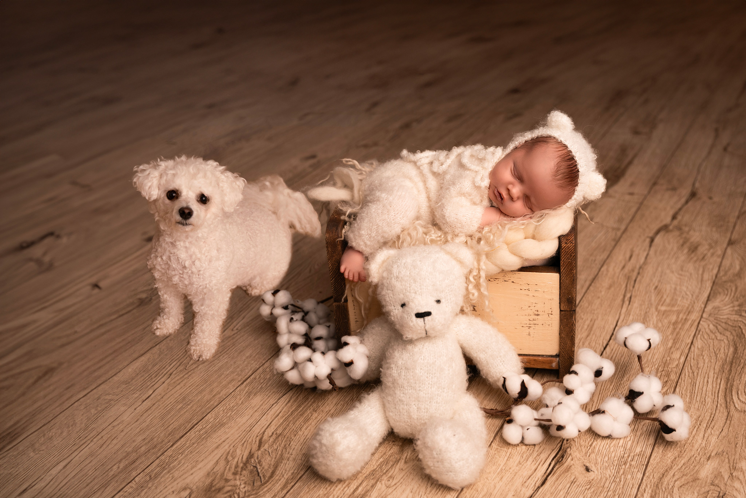 Sesja newborn. VideofotKA.pl