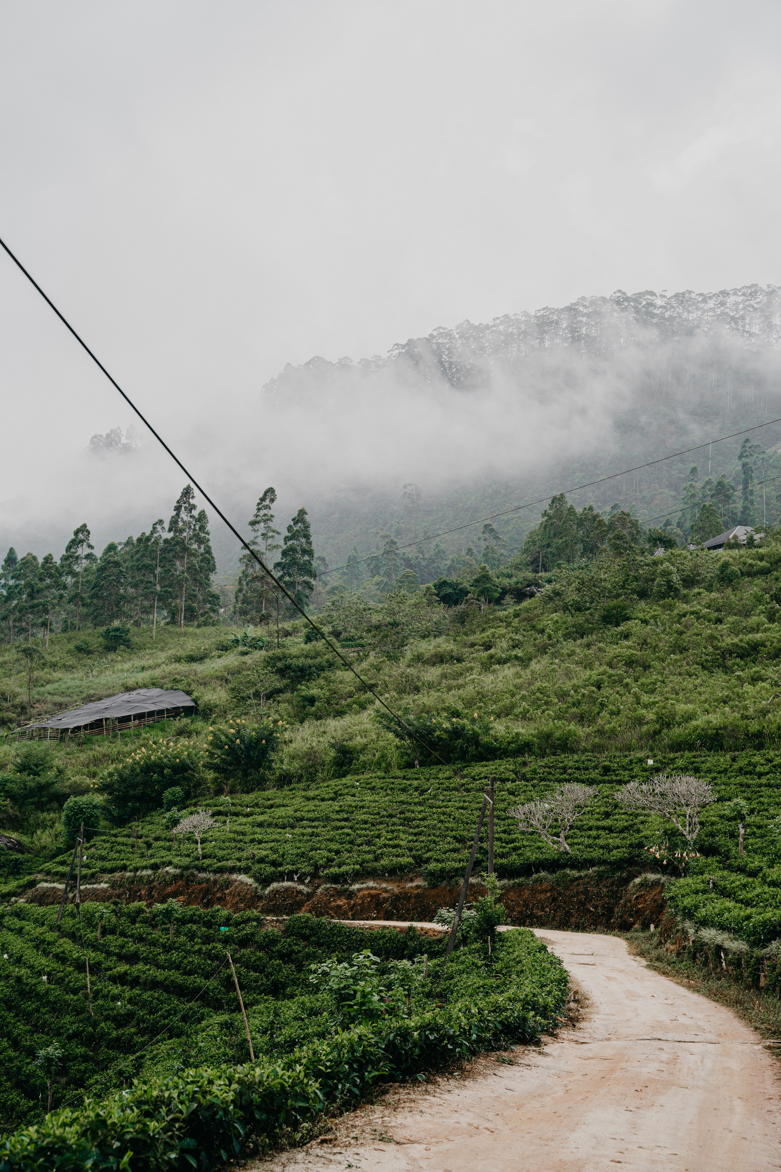 Relais & Châteaux, Tea Trails, Sri Lanka. Editorial photographer Yuliya Drazdovich