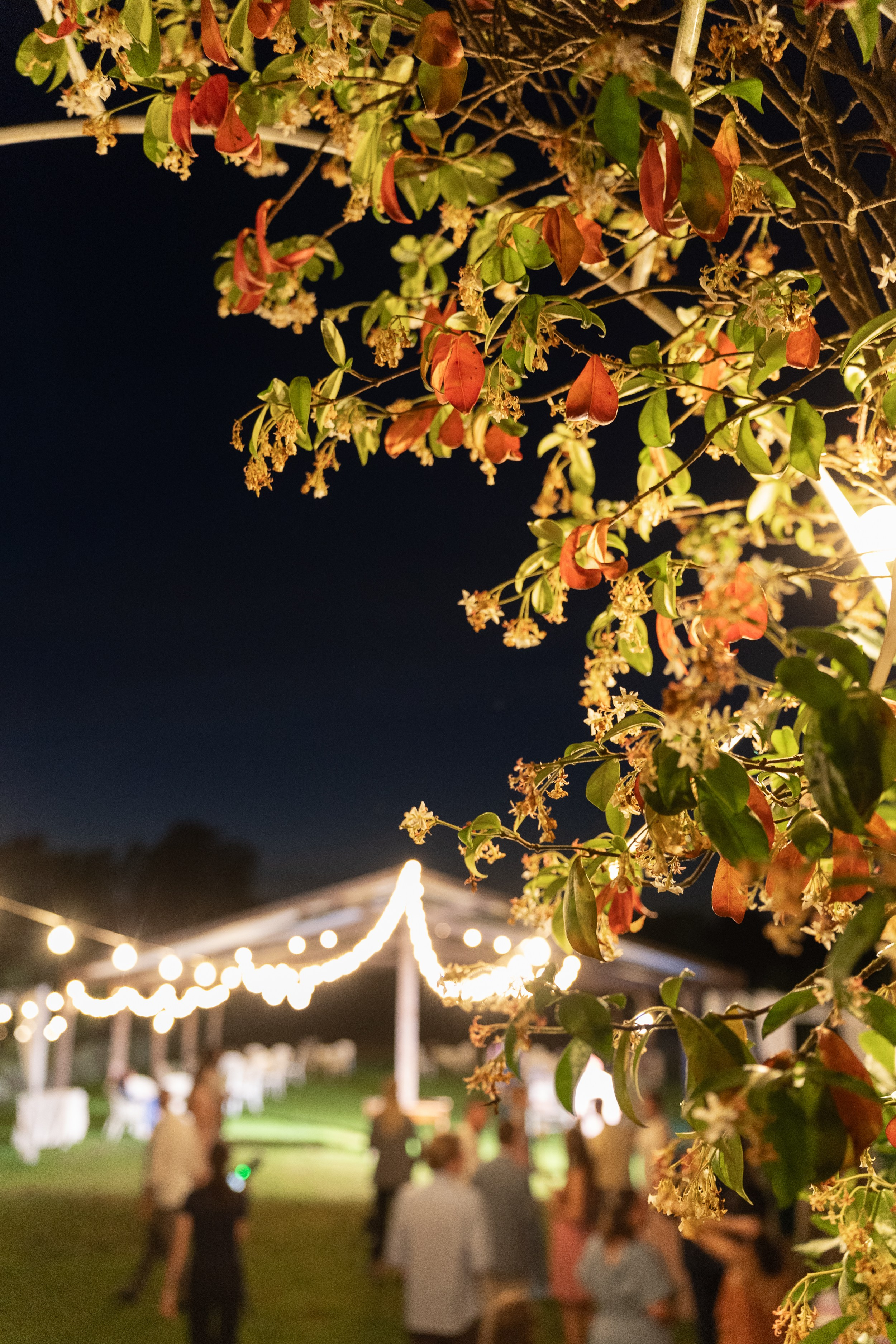 Italy Wedding Photographer | Lake Como & Northern Italy