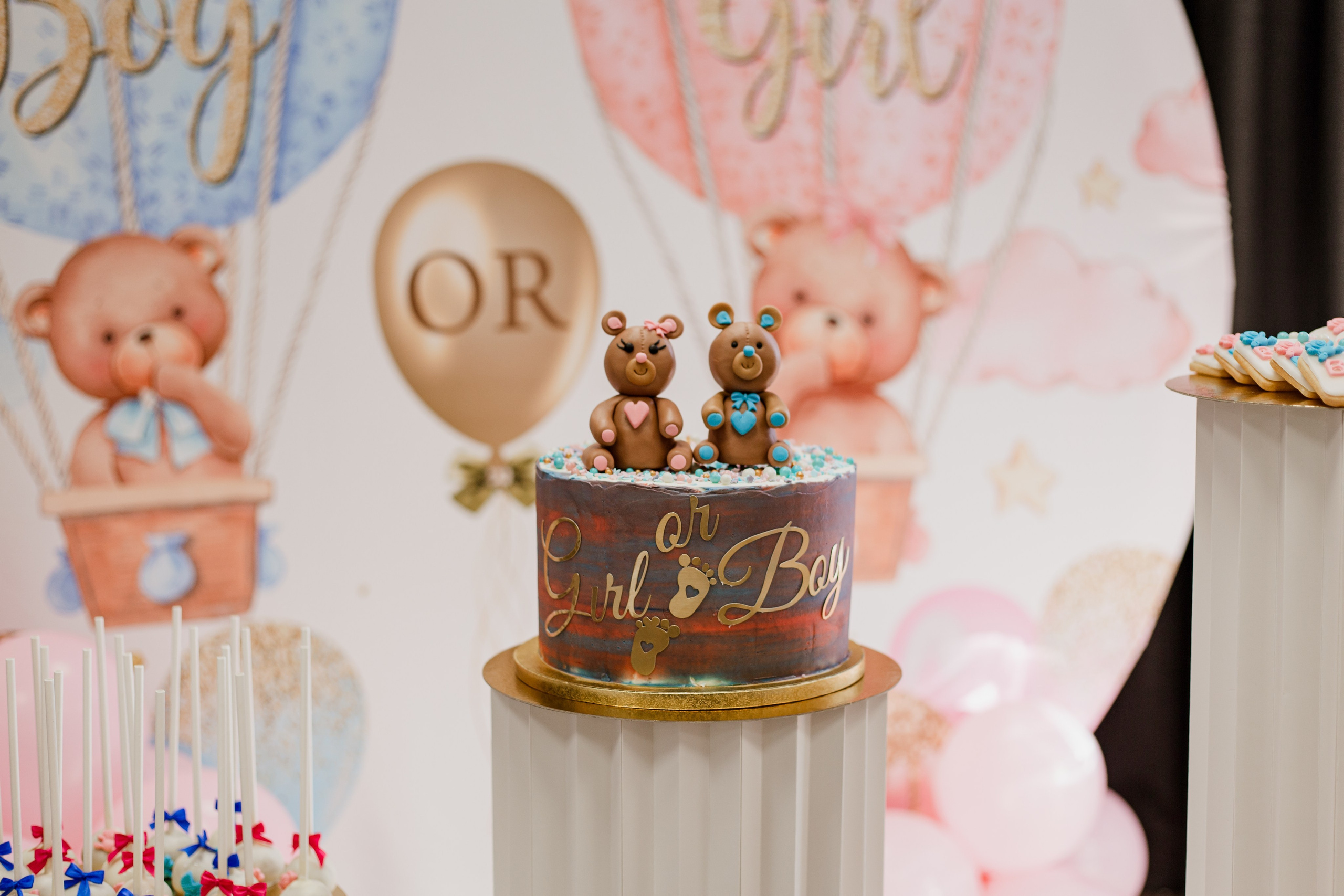 Baby shower (Gender party). Studio photo « Partage ton bonheur » – Photographe famille près de Châtellerault, Poitiers et Tours