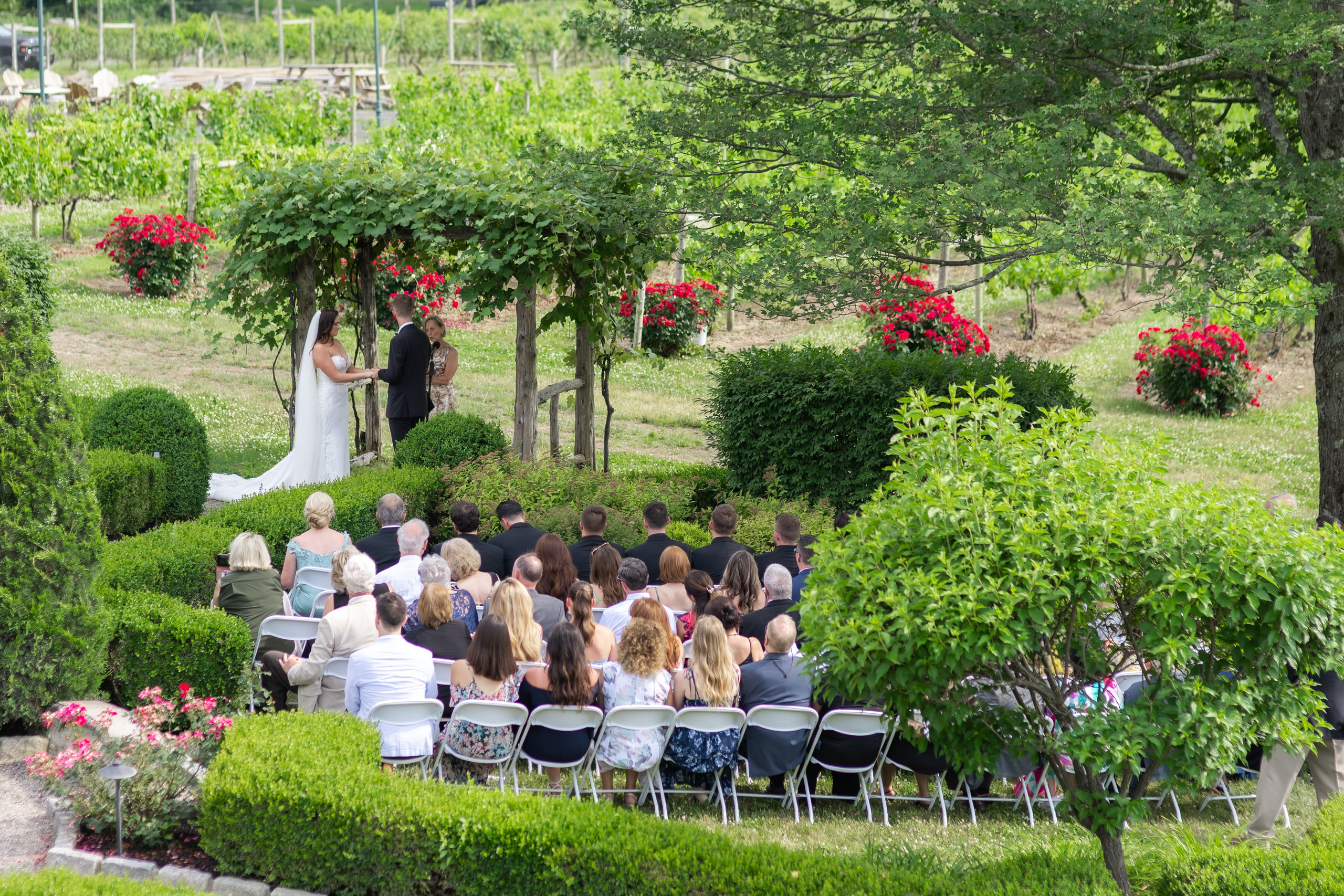Angelica & Conor. Wedding Photo & Video