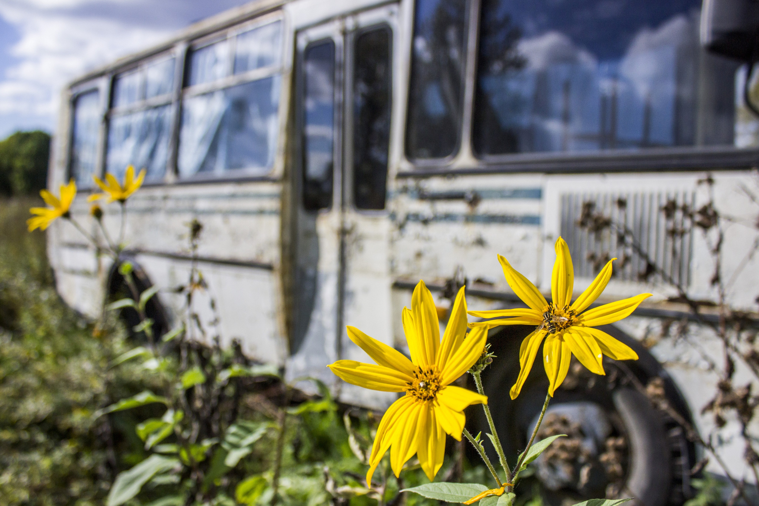 Работы учеников. Фотограф и преподаватель фотографии в Белграде