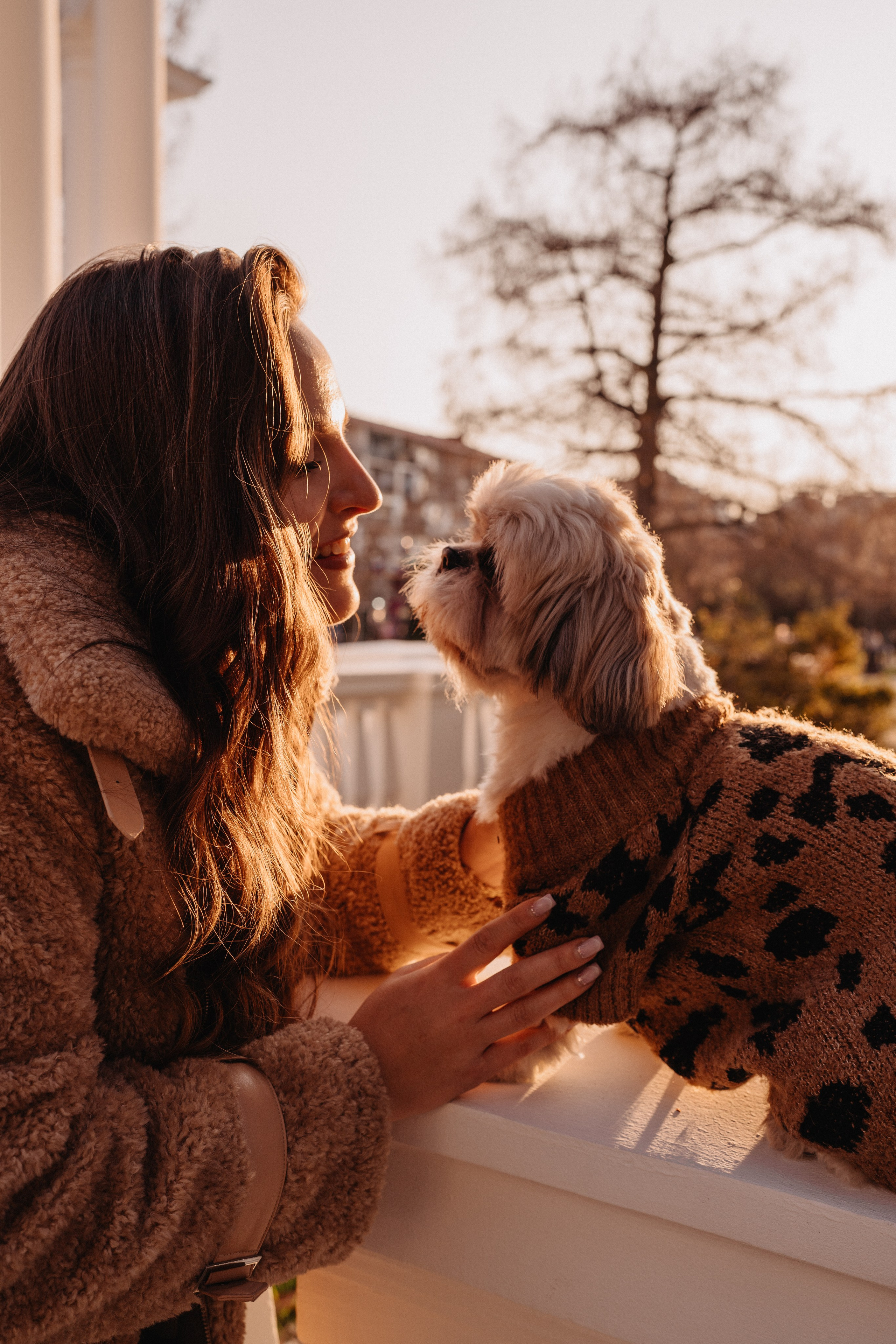 Фотосессия с собакой в Батуми. Портретный и свадебный фотограф в Батуми Валерия Азаренко