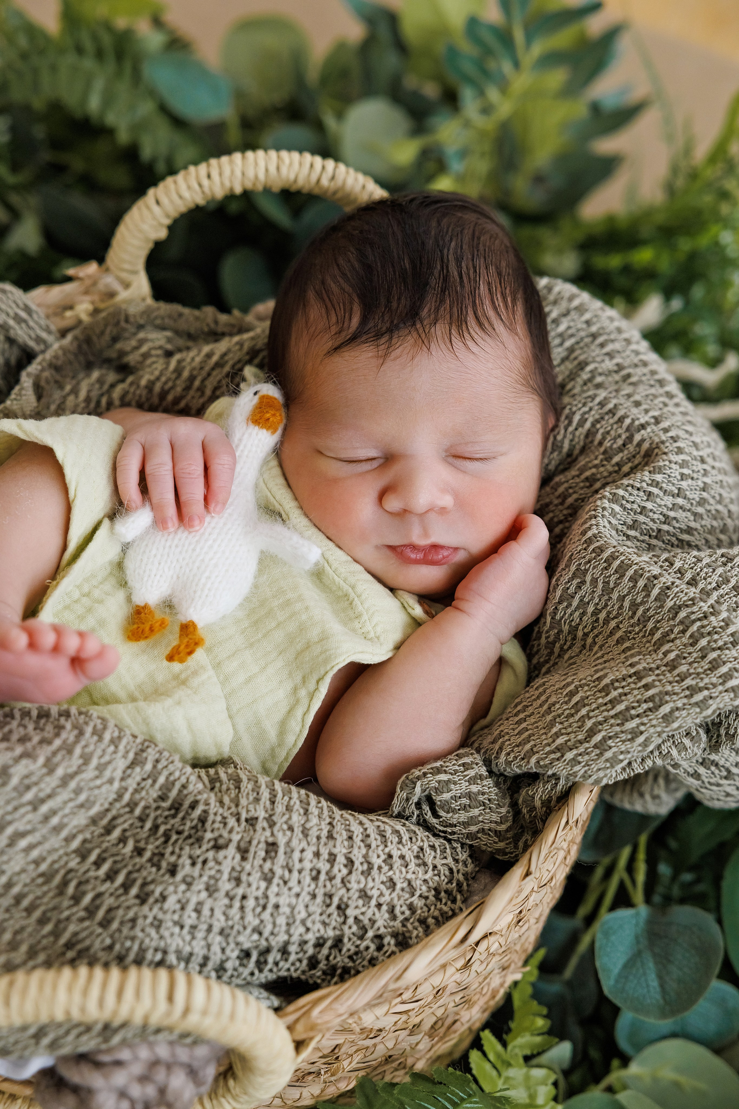 Baby Boy. Фотограф Ирина Йотова
