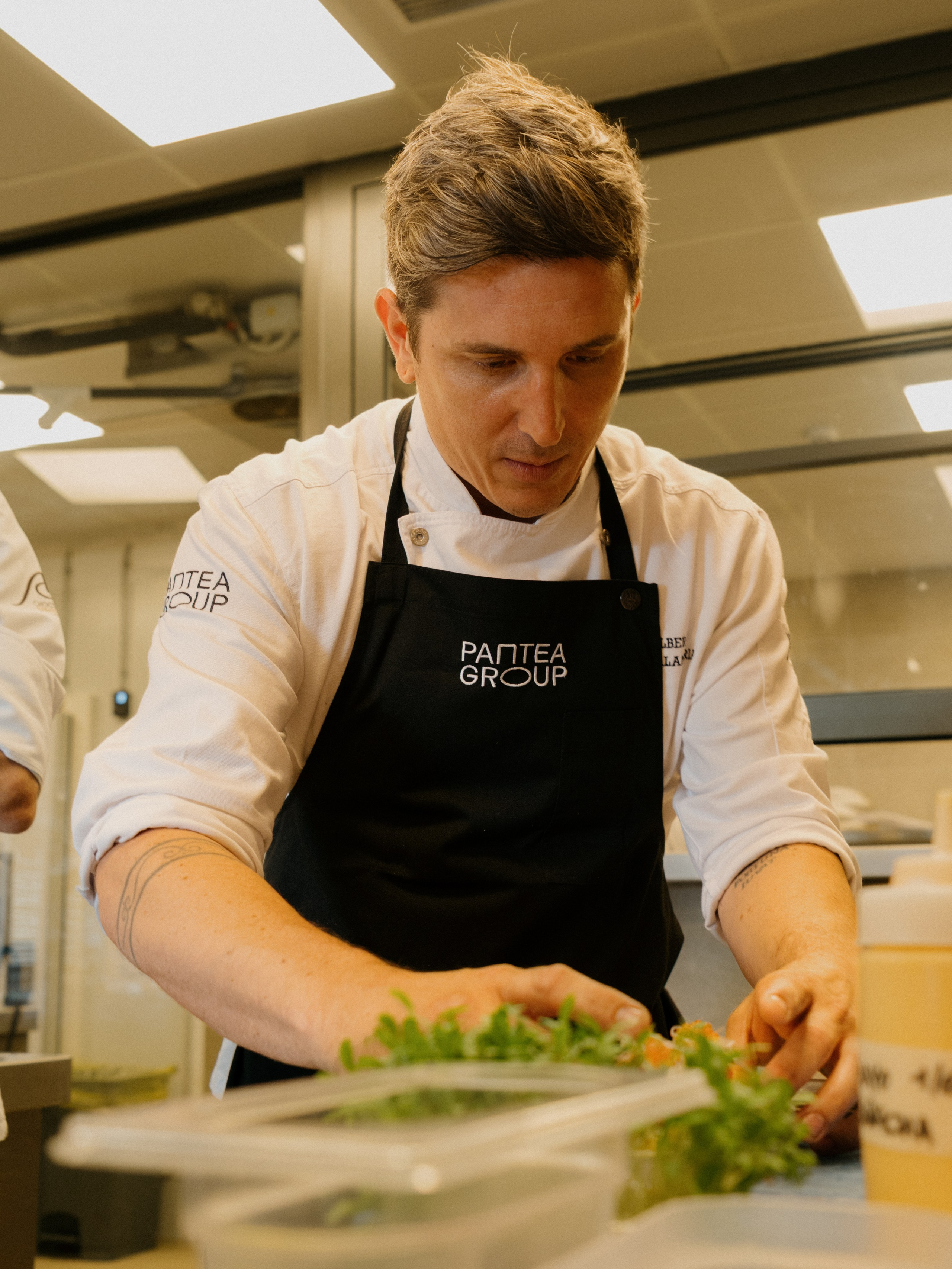 Hermanos Torres Eldelmar