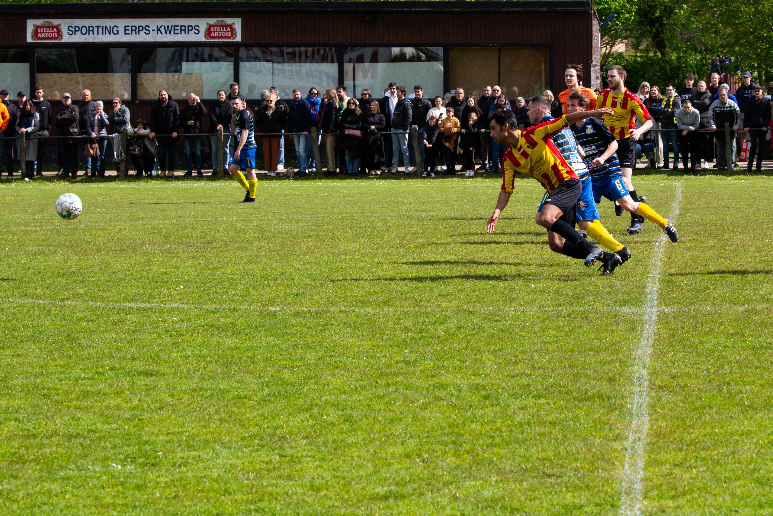 Sports. Family, portrait, and lifestyle photoshoots in Belgium