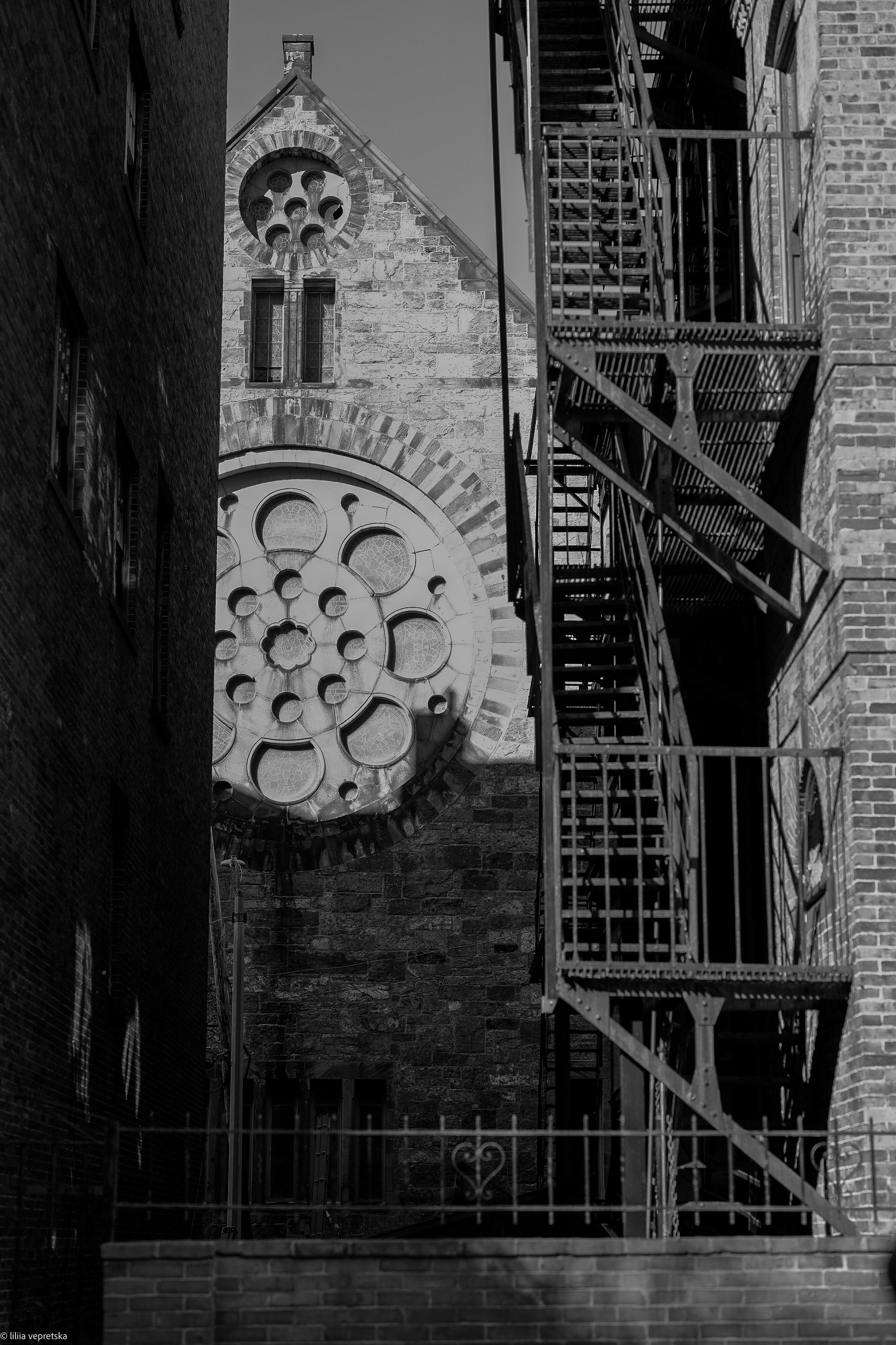 REVIEWS. Florida destination wedding photographer