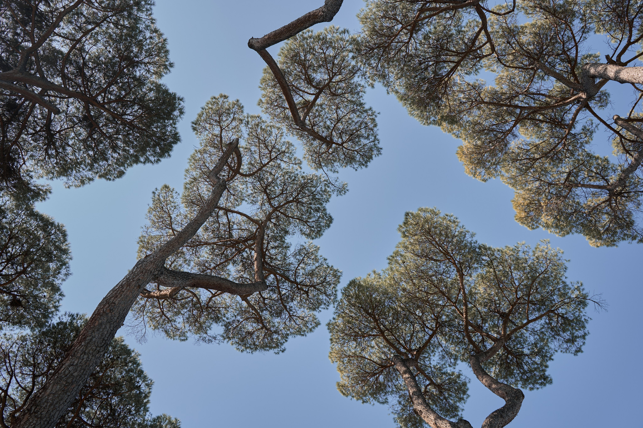 Моими глазами. Salut!