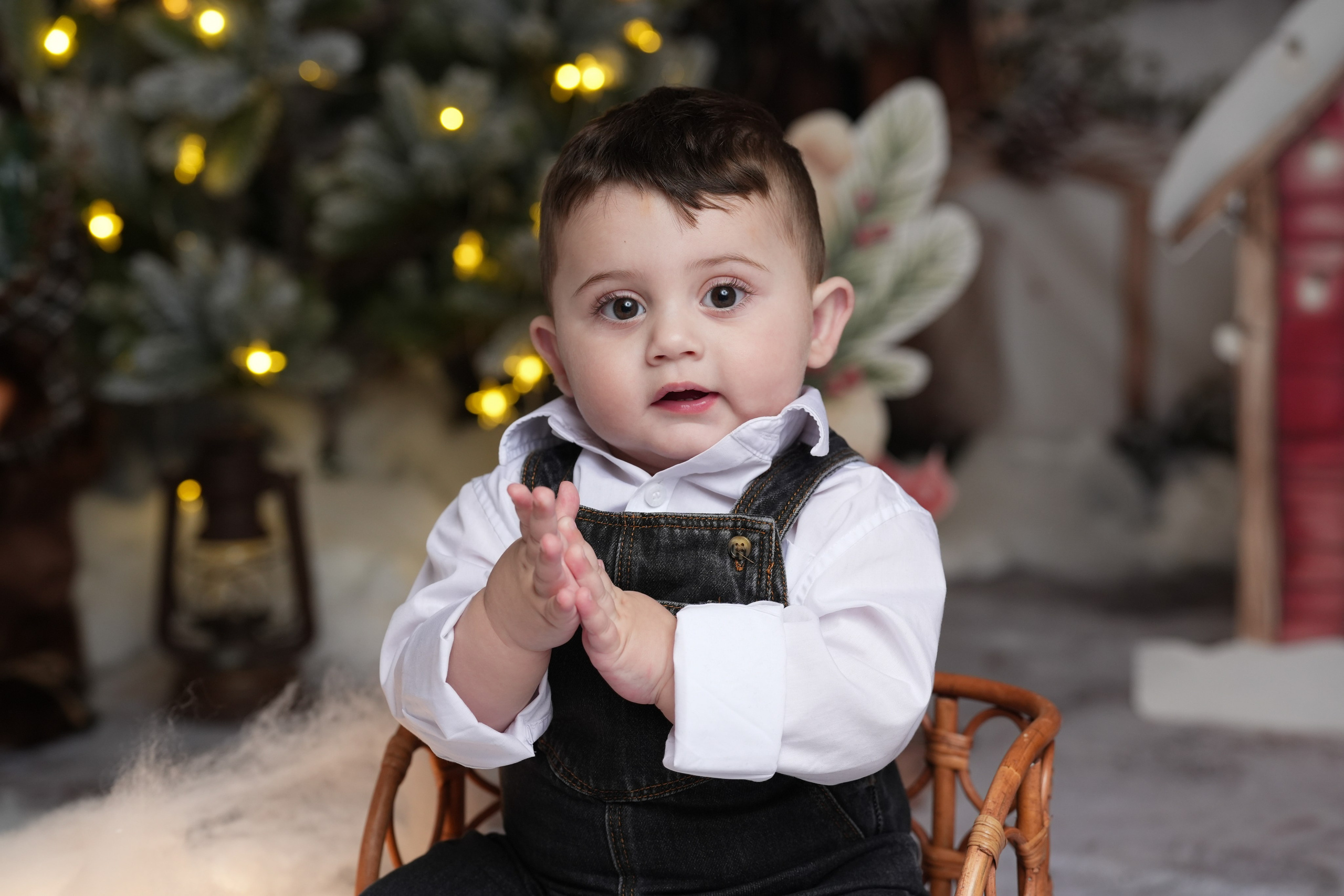 Weihnachten. Www.alberti-fotograf.de