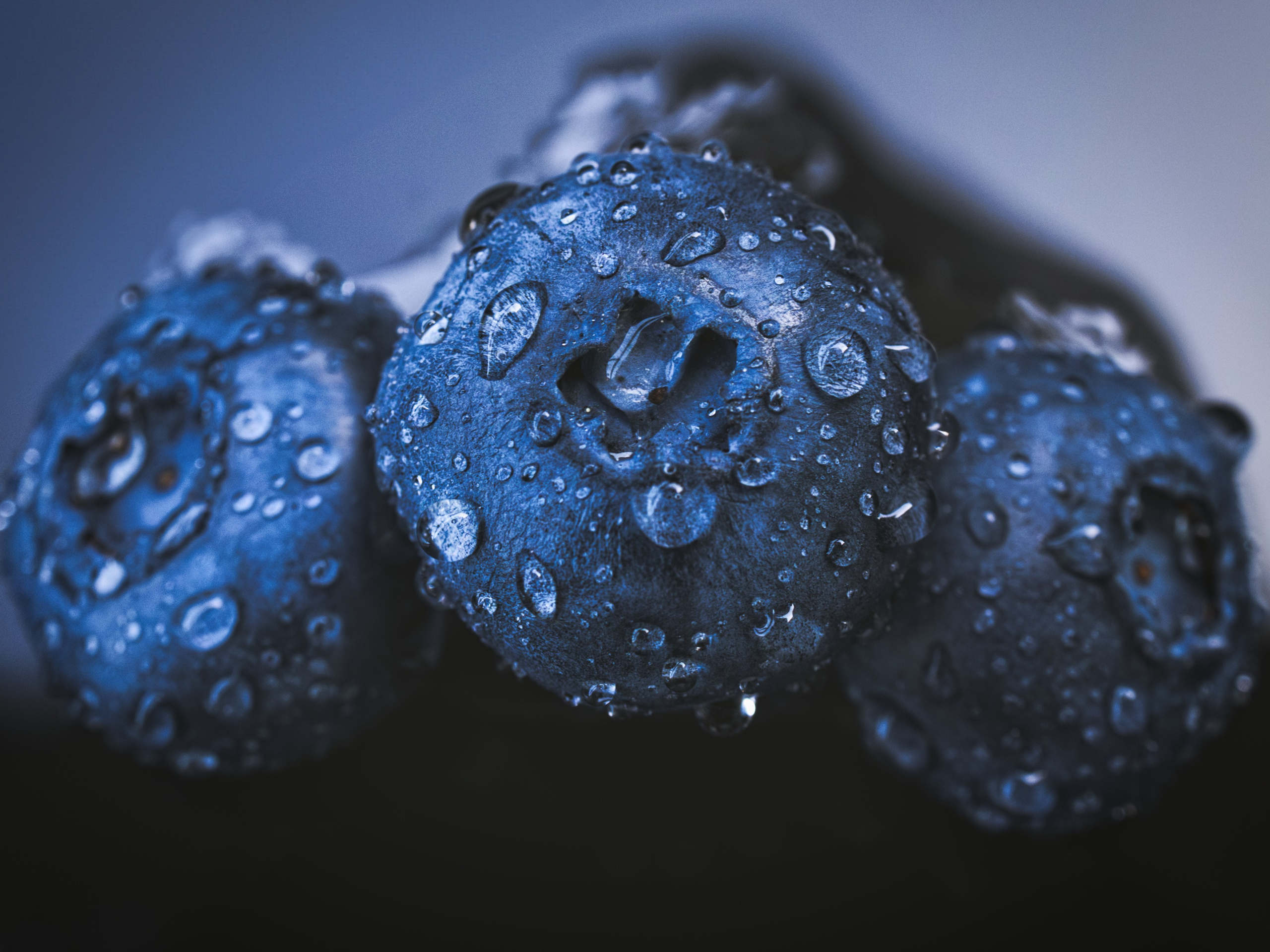 Fotograf Nunta Bucuresti