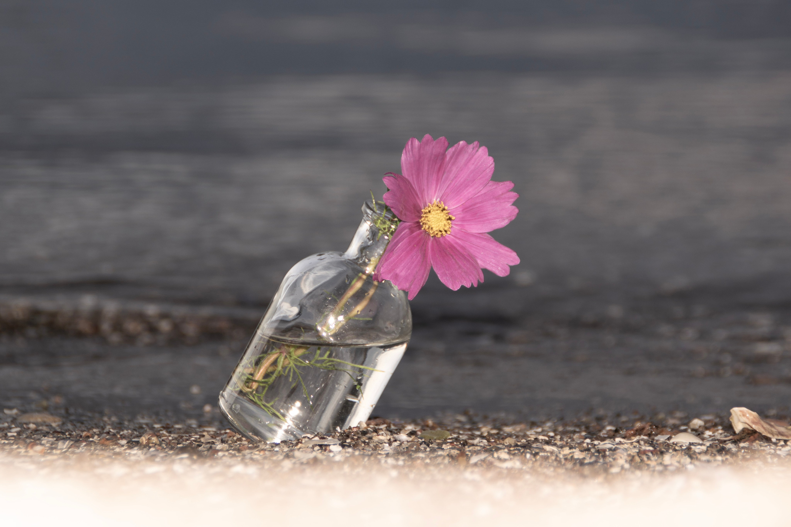 Portfolio. Photographer in Sotenäs municipality. Fotograf i Sotenäs kommun