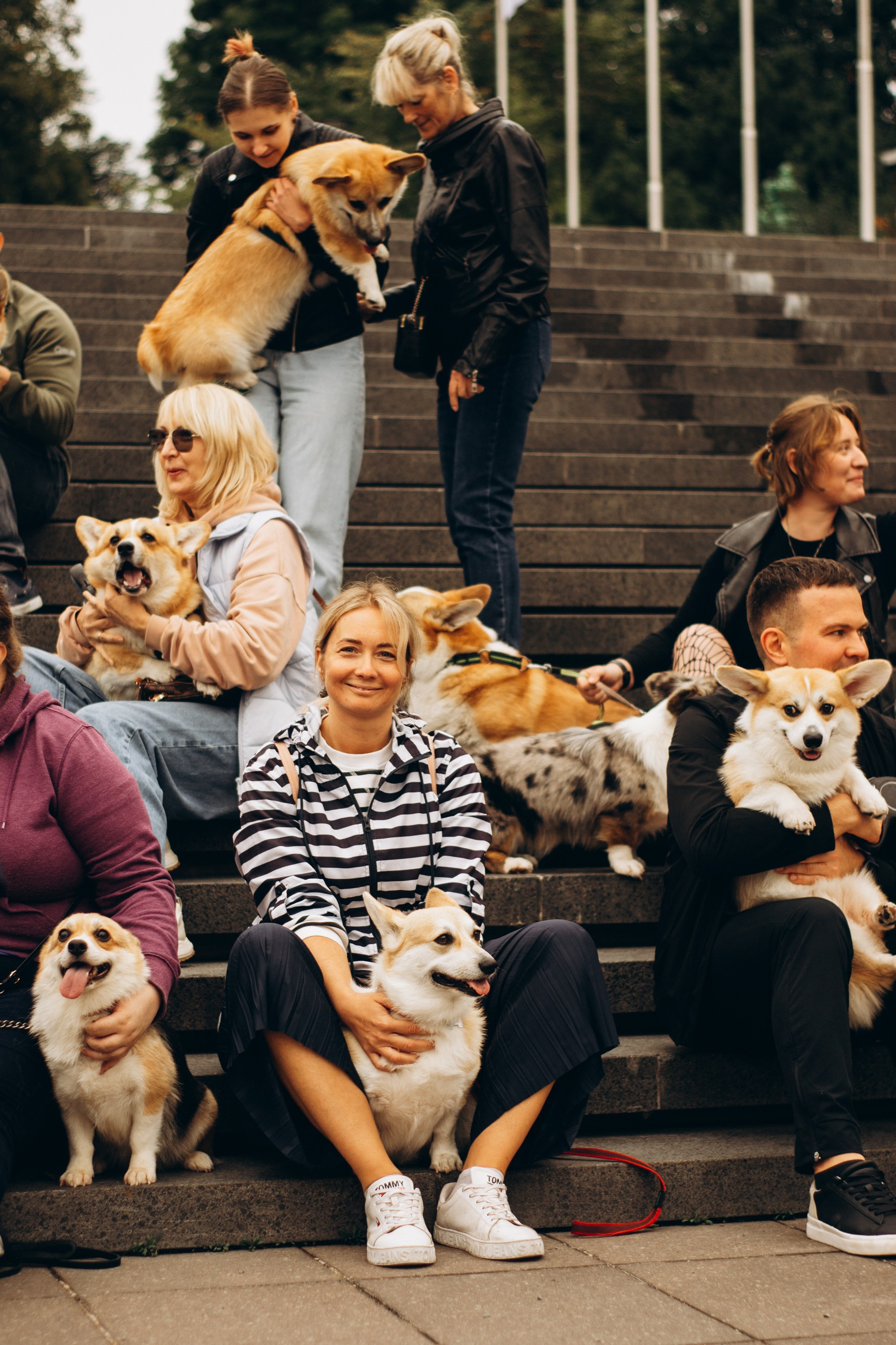 Corgi party, september. Kat Laisaar — Pet photographer in Tallinn