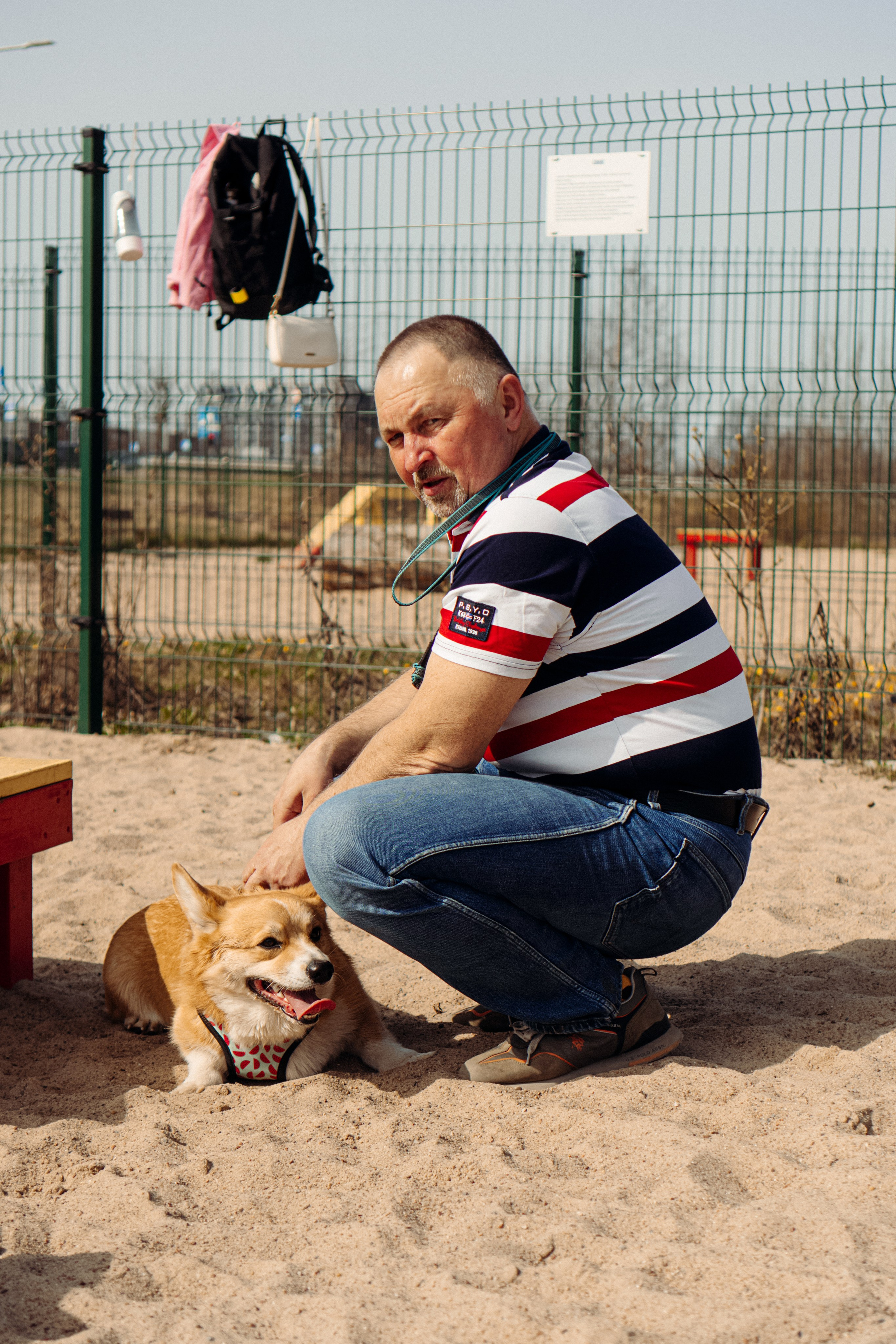 Corgi party, 18 apr. 2025. Kat Laisaar — Pet photographer in Tallinn