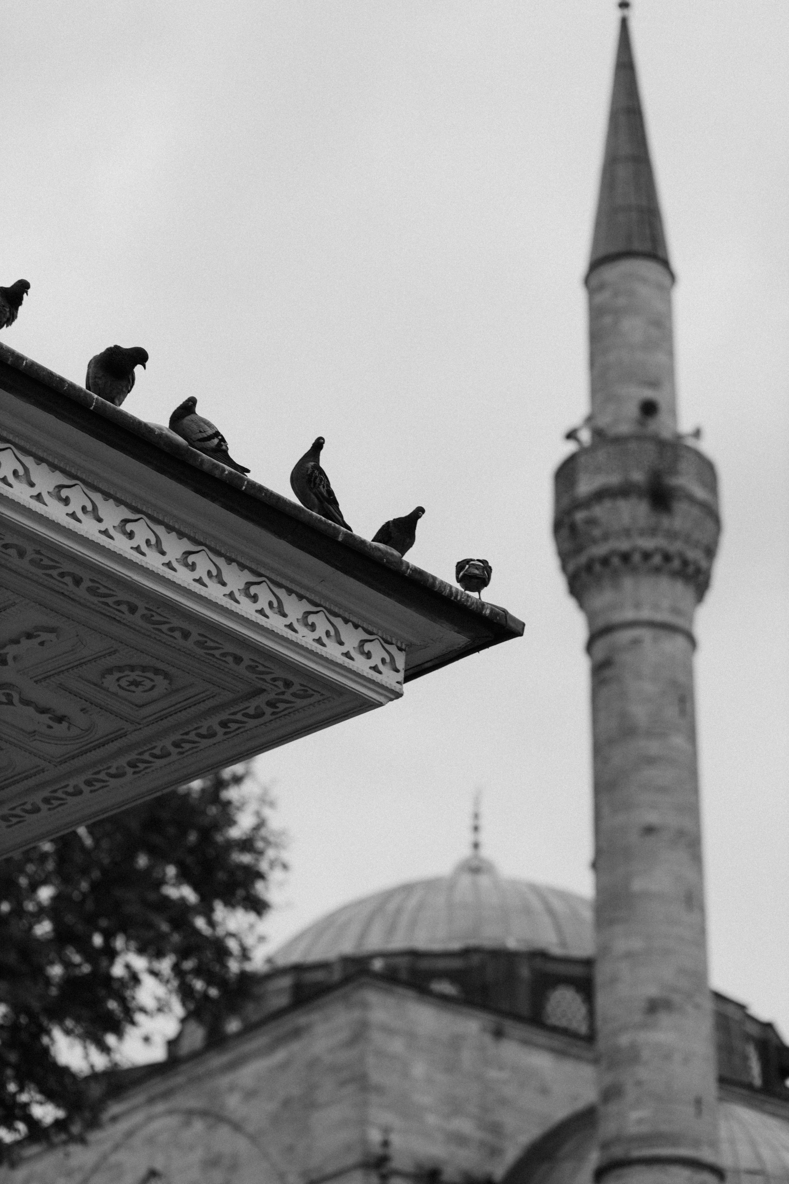 Стамбул. Фотопрогулки в Стамбуле