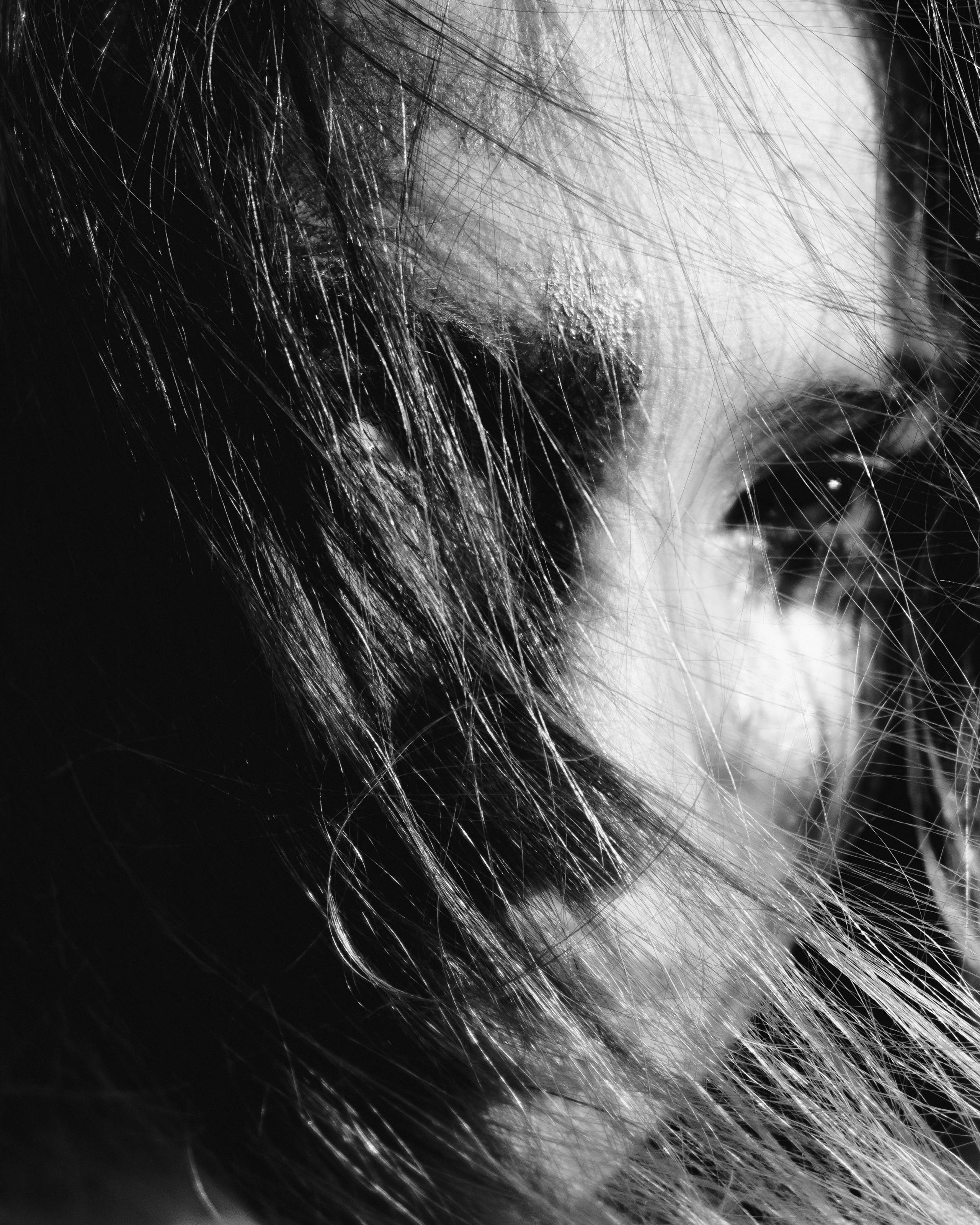 Фотосессия девушки в золотой краске на пляже