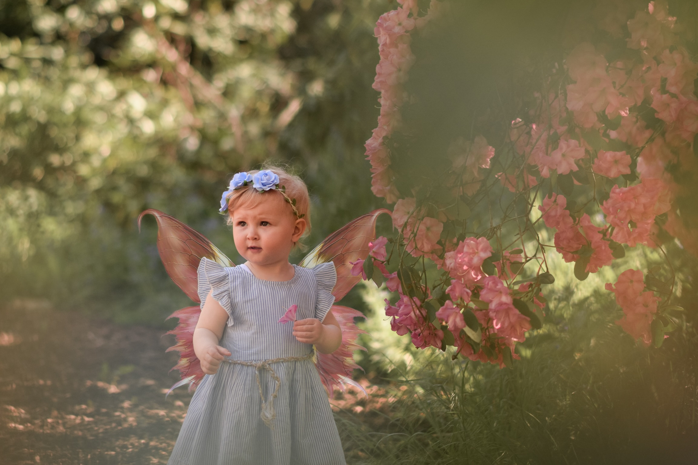 Familienfotoshooting im Studio & Outdoor |Köln, Aachen, Düren. Neugeborene, Baby Fotografin in Düren (NRW) - Vitalina Unruh