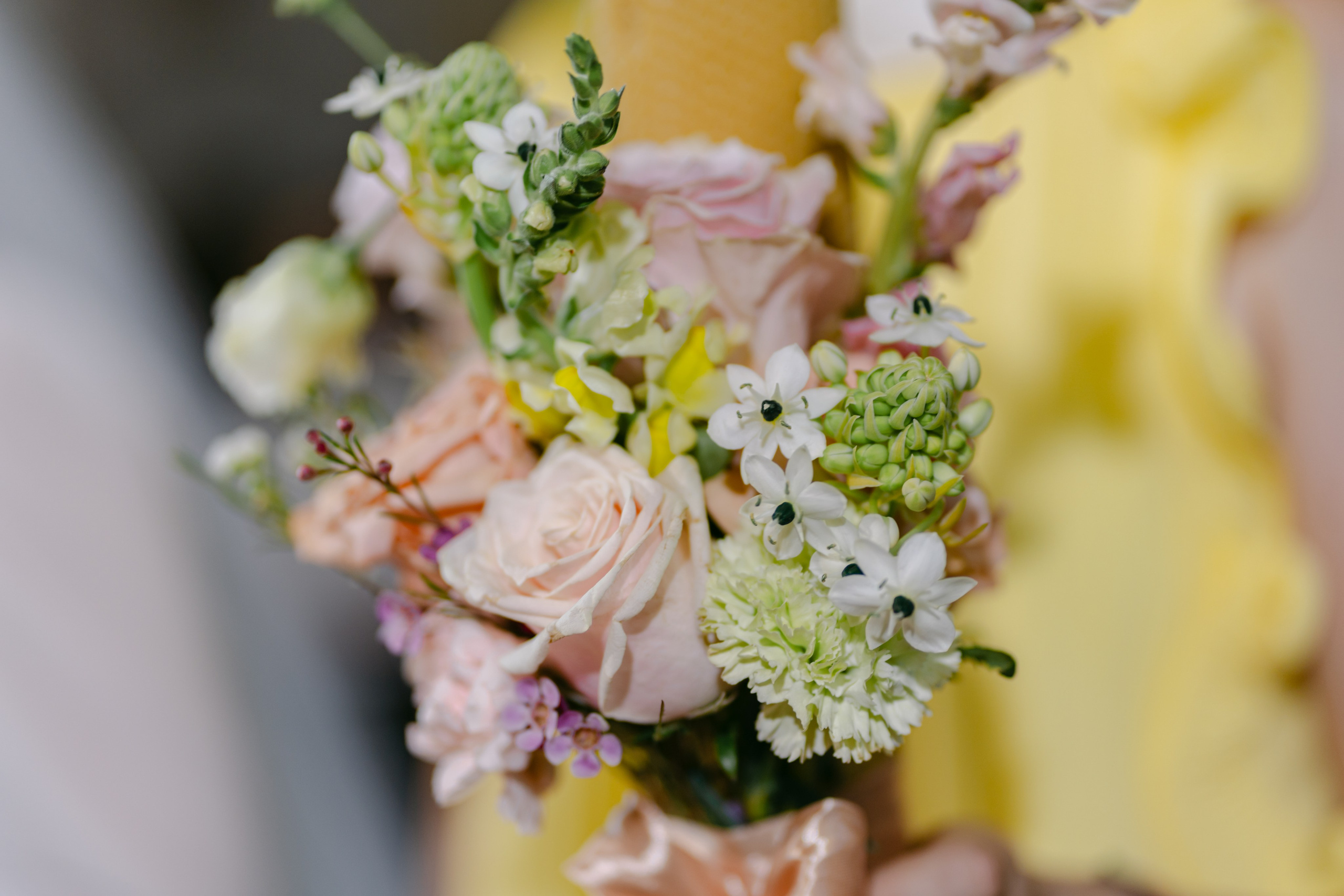 Analisa | Constantin. Gabrielacojocariu.com