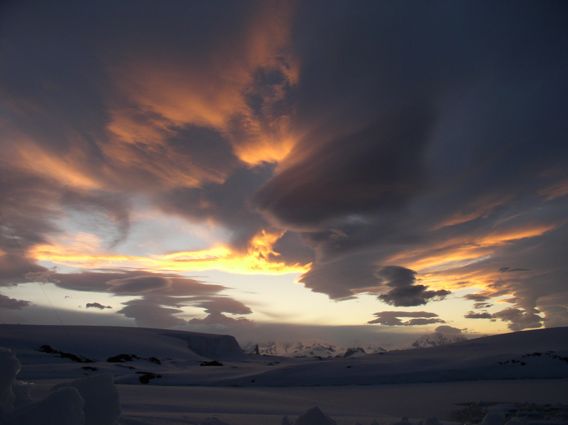 ANTARCTICA. Reportage concert portrait photography in the San Francisco Bay Area