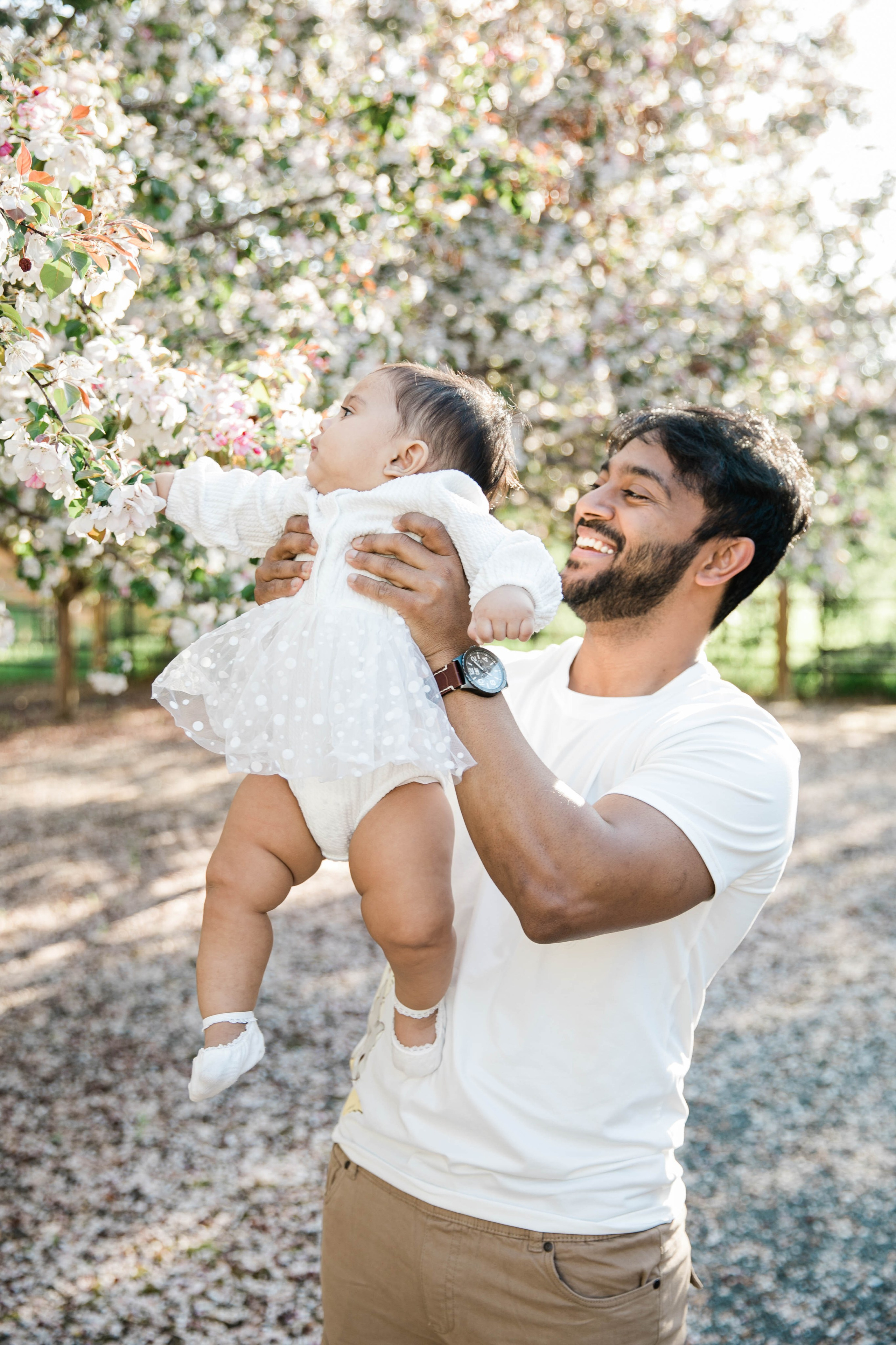 Nabeel Cherry Blossoms. Fotografía accesible en Calgary