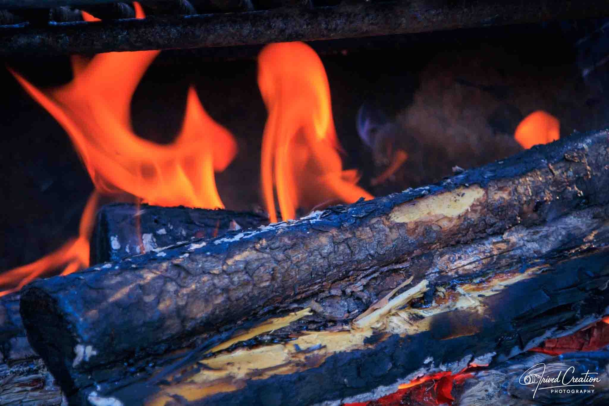 Landscape & Nature. Prived Creation