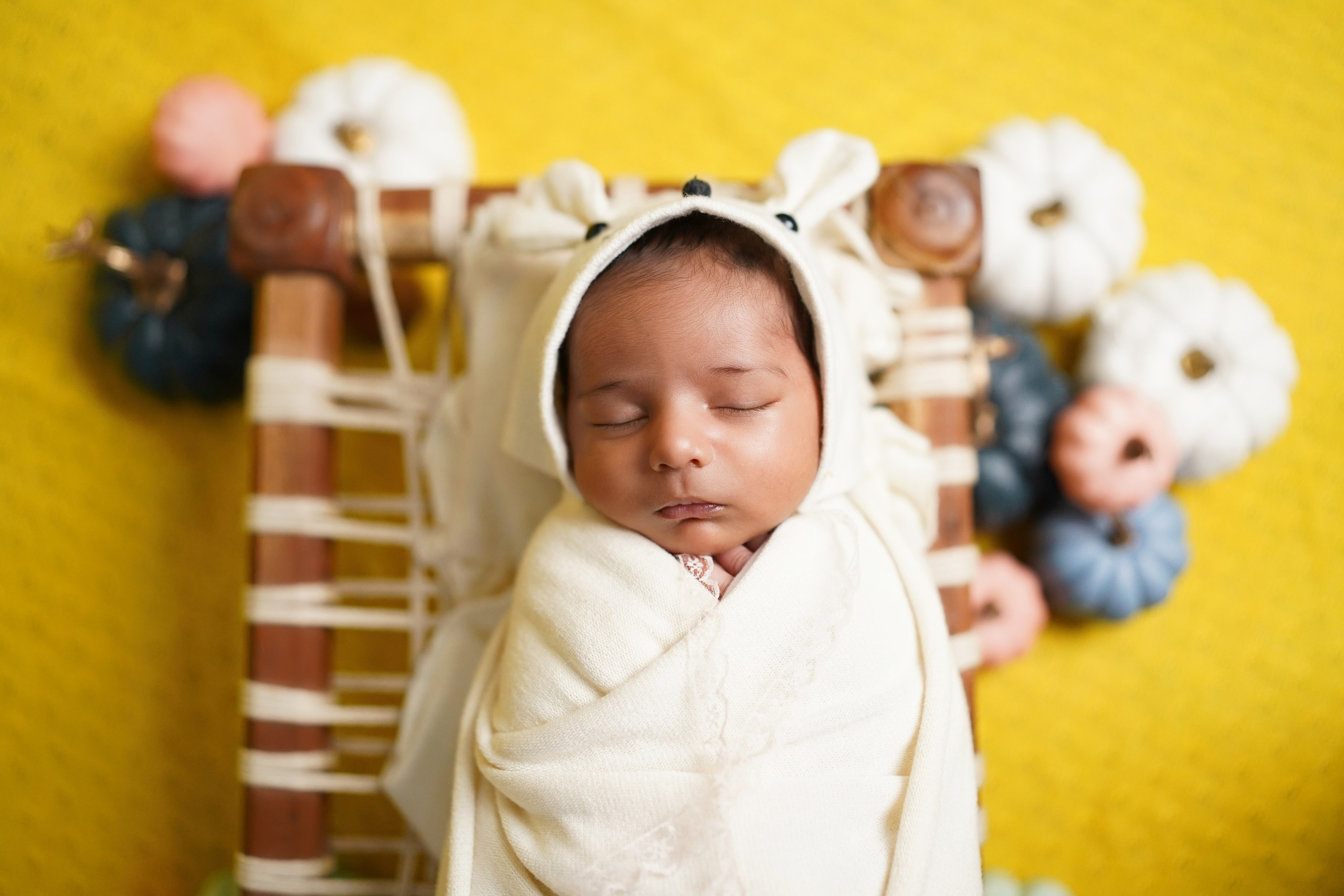 New born. TNF photo & filming