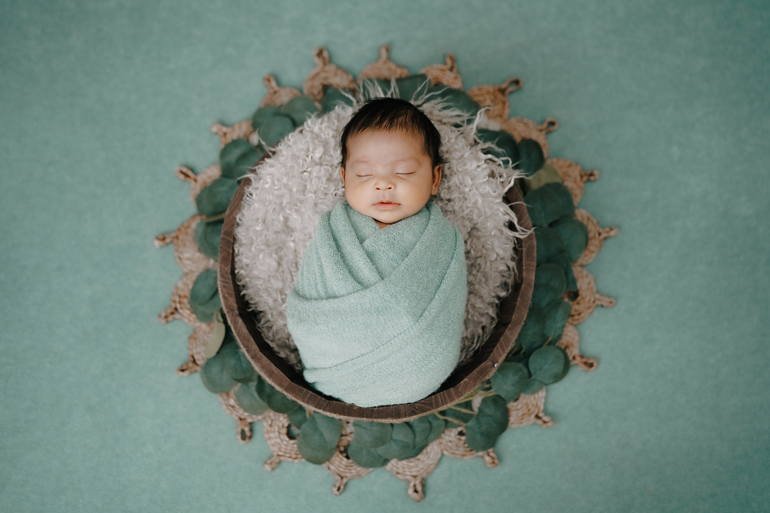 New born. TNF photo & filming