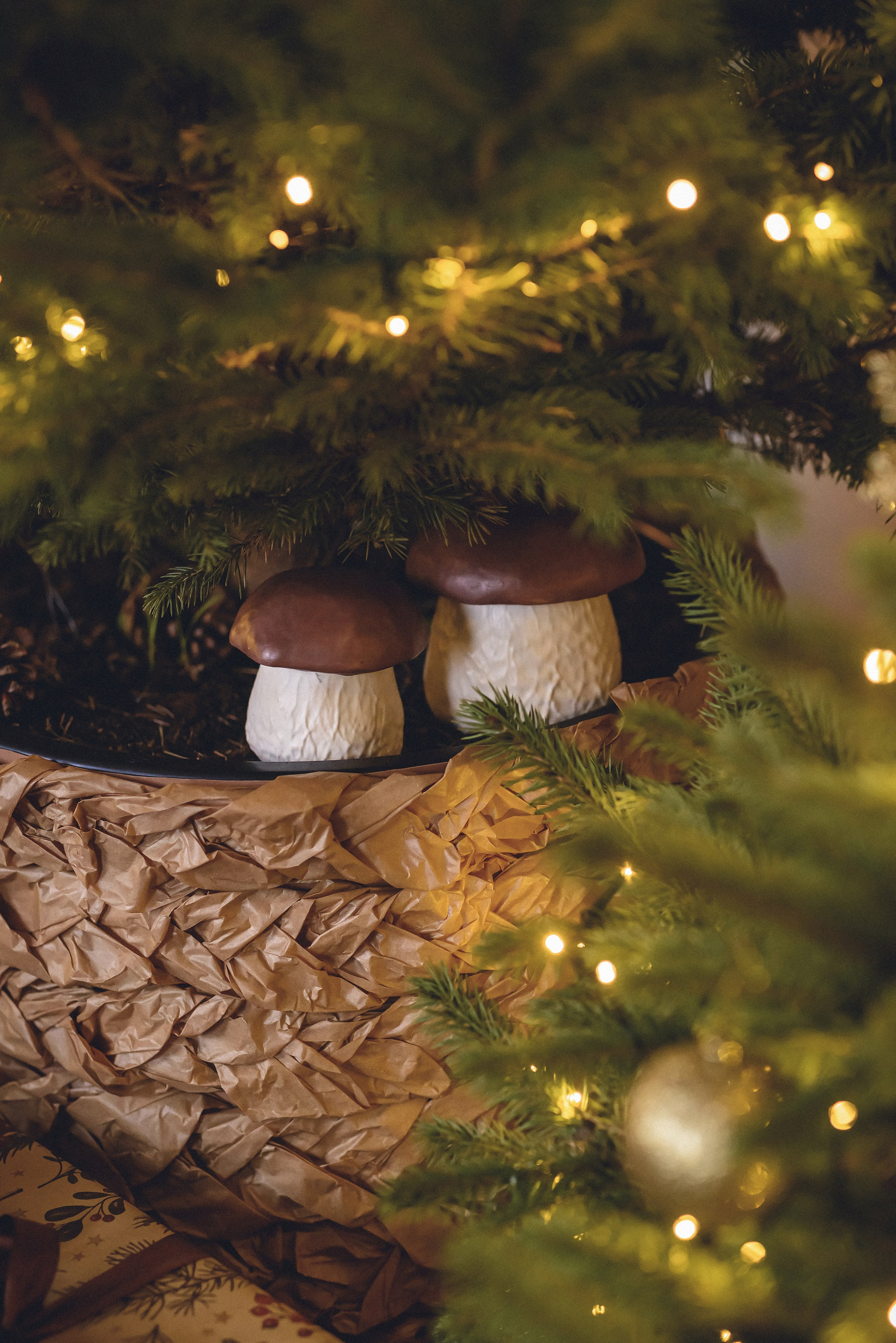 Studija. Fotogrāfs Rīgā. Gīmenes, individuālās un dažādu produktu fotosesijas