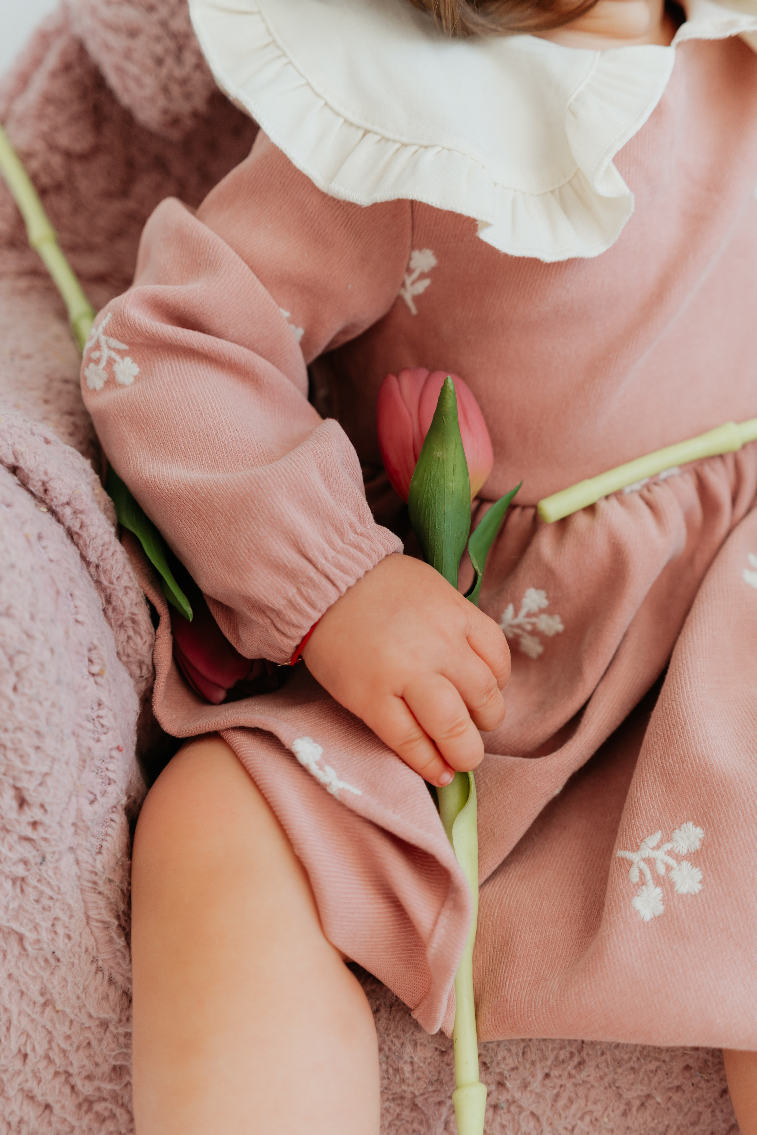 SPRING SESSION. Ars Vidi | Digital Solutions