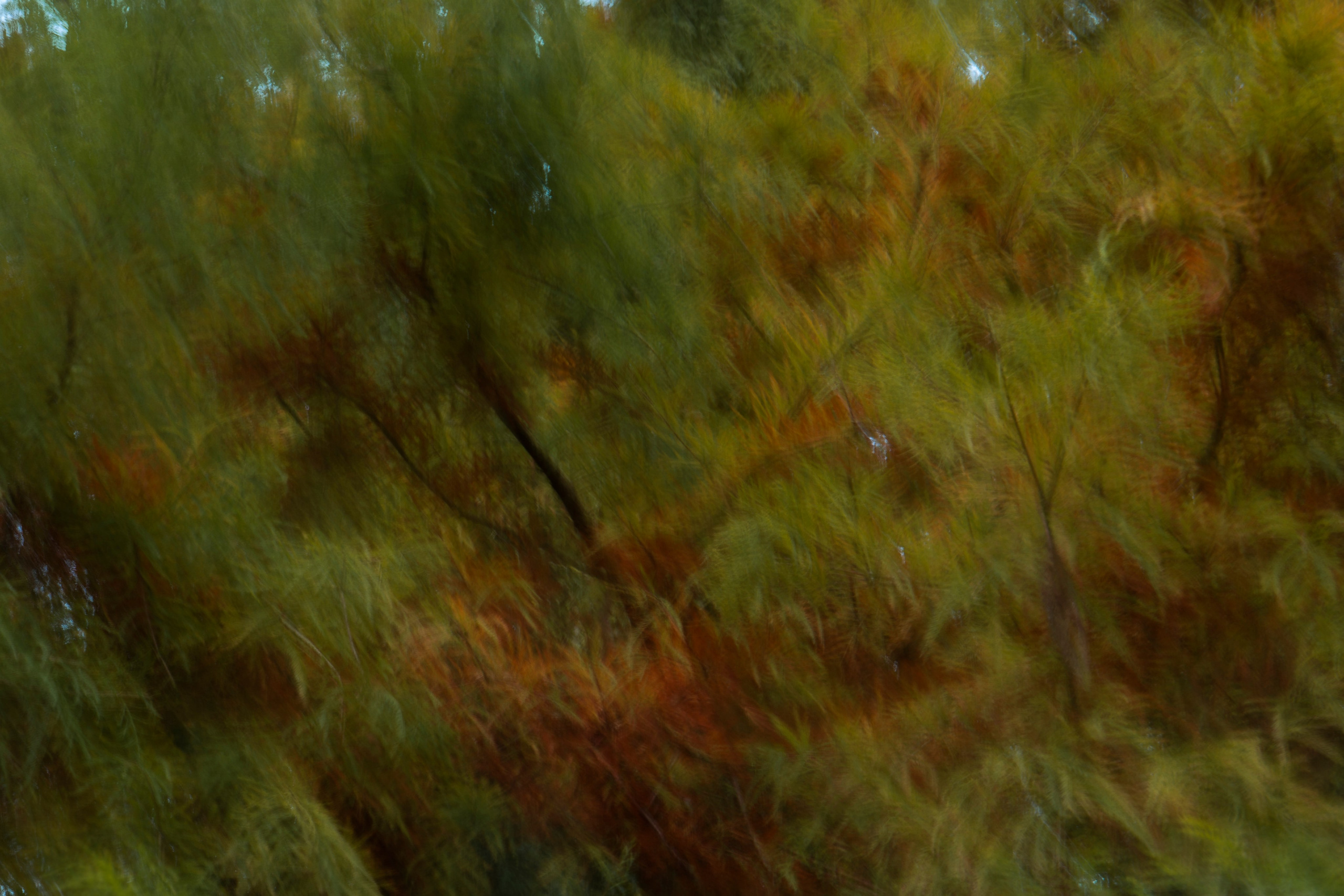 Paysages. Portrais créatifs de familles et individuels, Ile et Vilaine, France