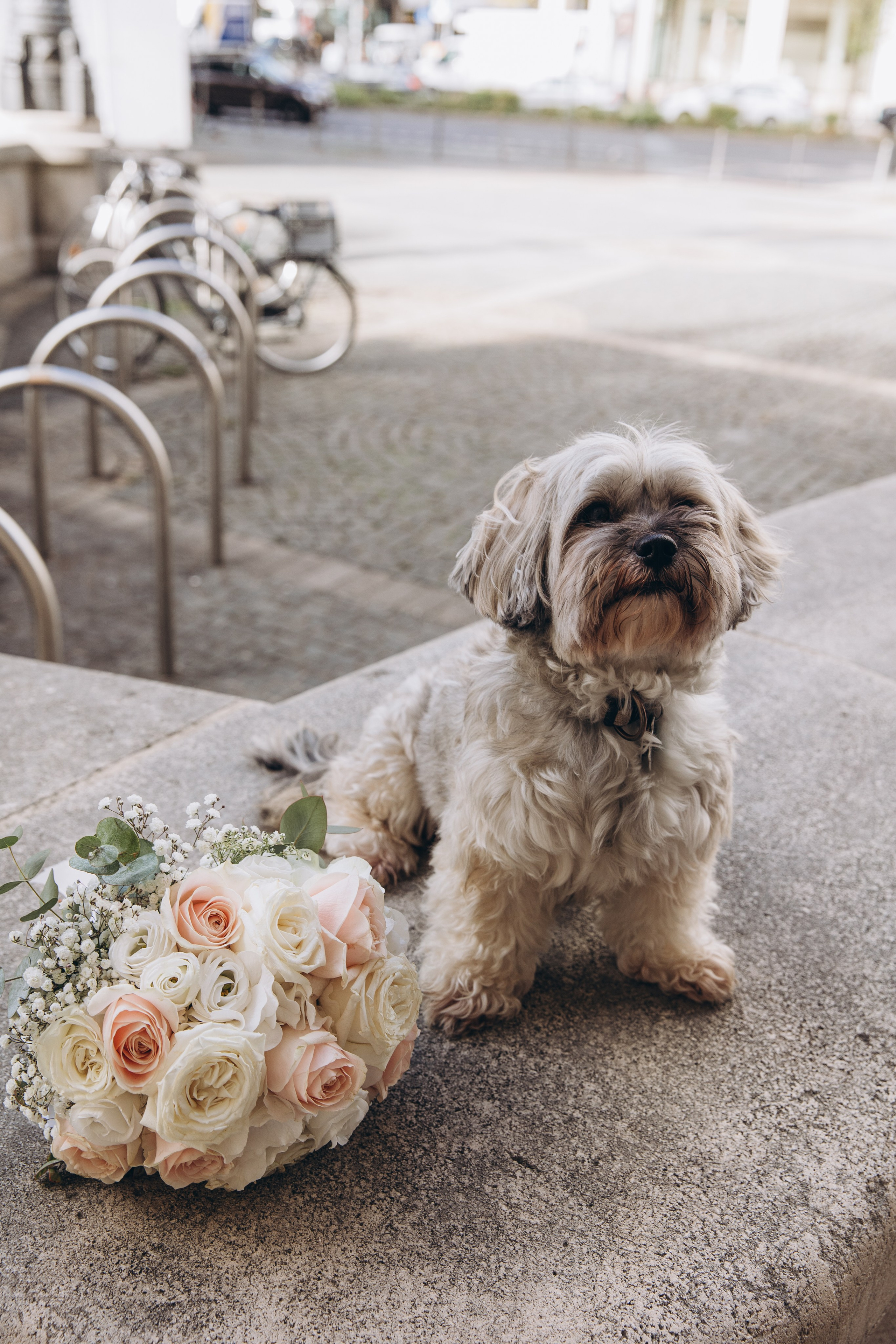 Alli and Michael. Wedding Stories — Professional Wedding Photography & Videography in Germany, Italy, Spain & all across Europe