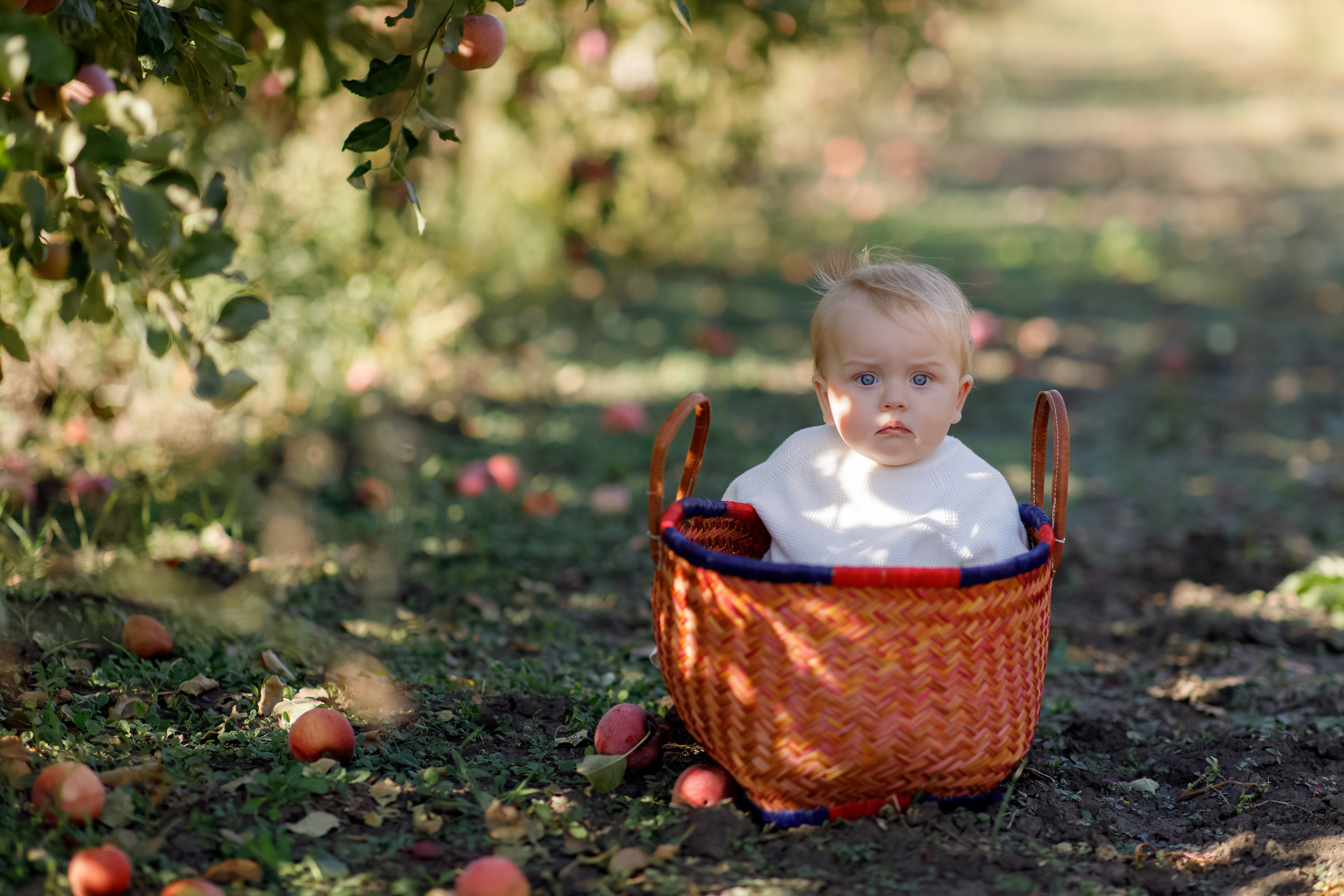 Family photo Mihaela Ungureanu. N.D.photograph - fotograf de familie și portrete în Republica Moldova