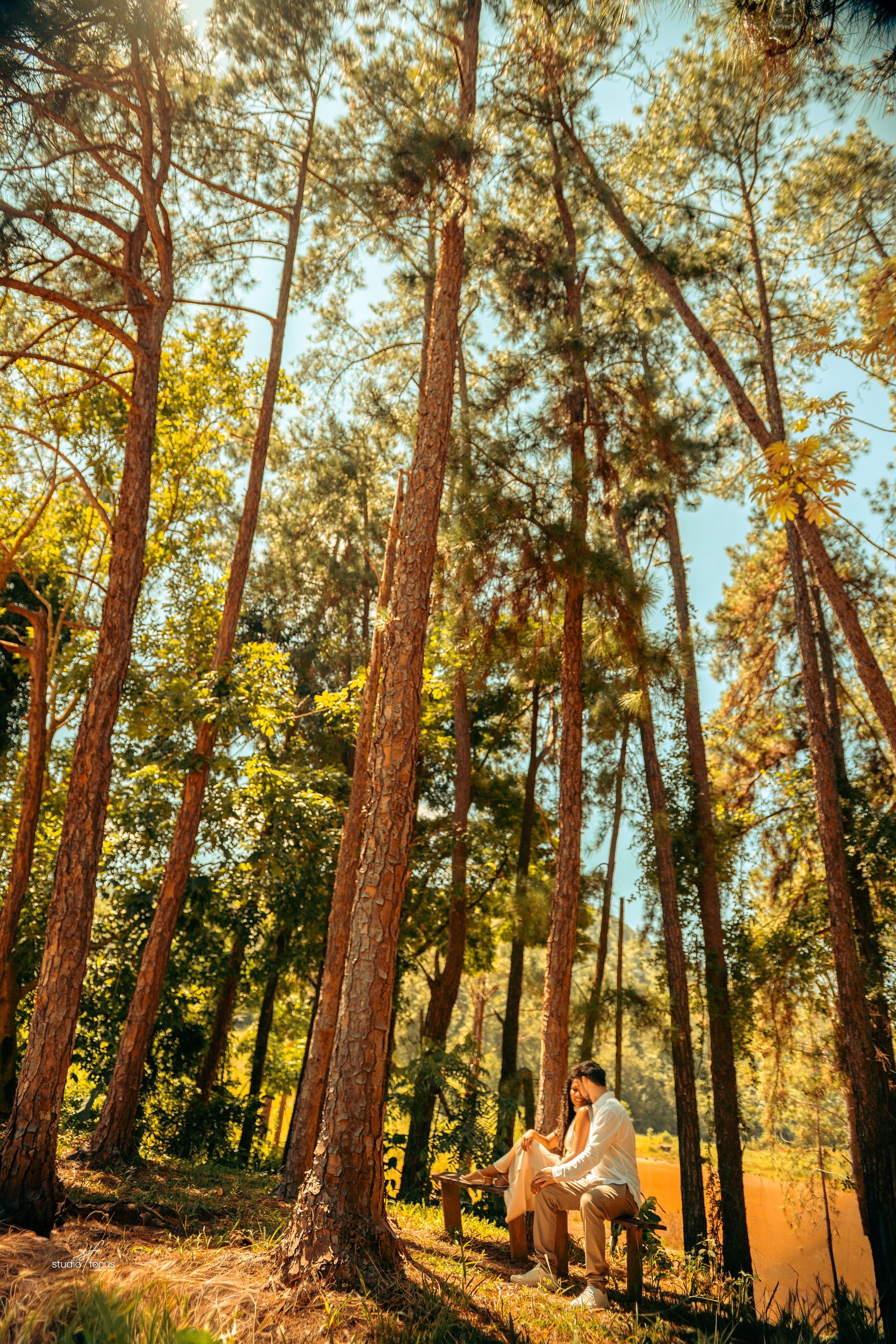 Pré-Wedding com pets
